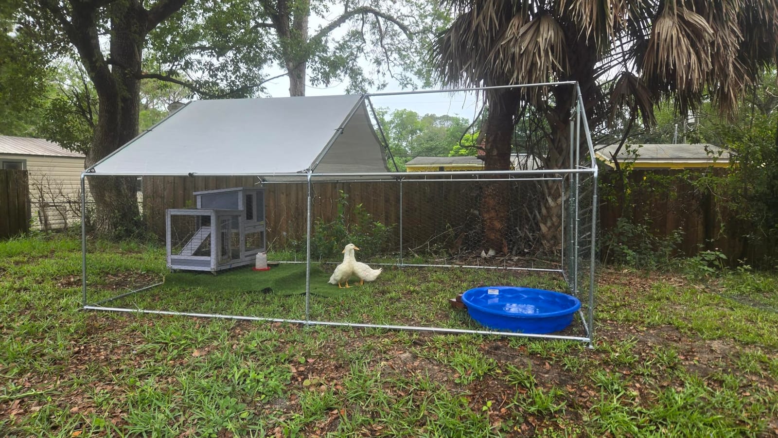 HEYTOWN Large Metal Chicken Coop Chicken Pen with Water-Resistant and Anti-UV Cover Walk-in Poultry Cage Chicken Runs for Yard with Cover Duck Rabbit Dog House Outdoor customer photo 2