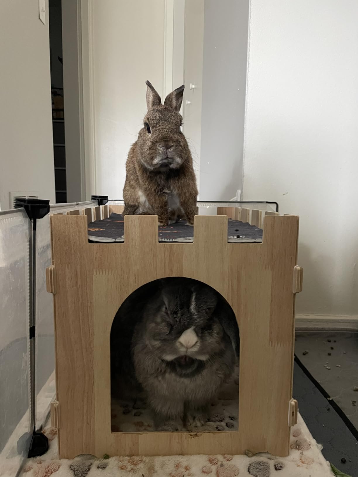BWOGUE Large Wooden Bunny Hideout, Detachable Rabbit Castle for Small Animal | Two Doors, 2-Story Play & Rest customer photo 1