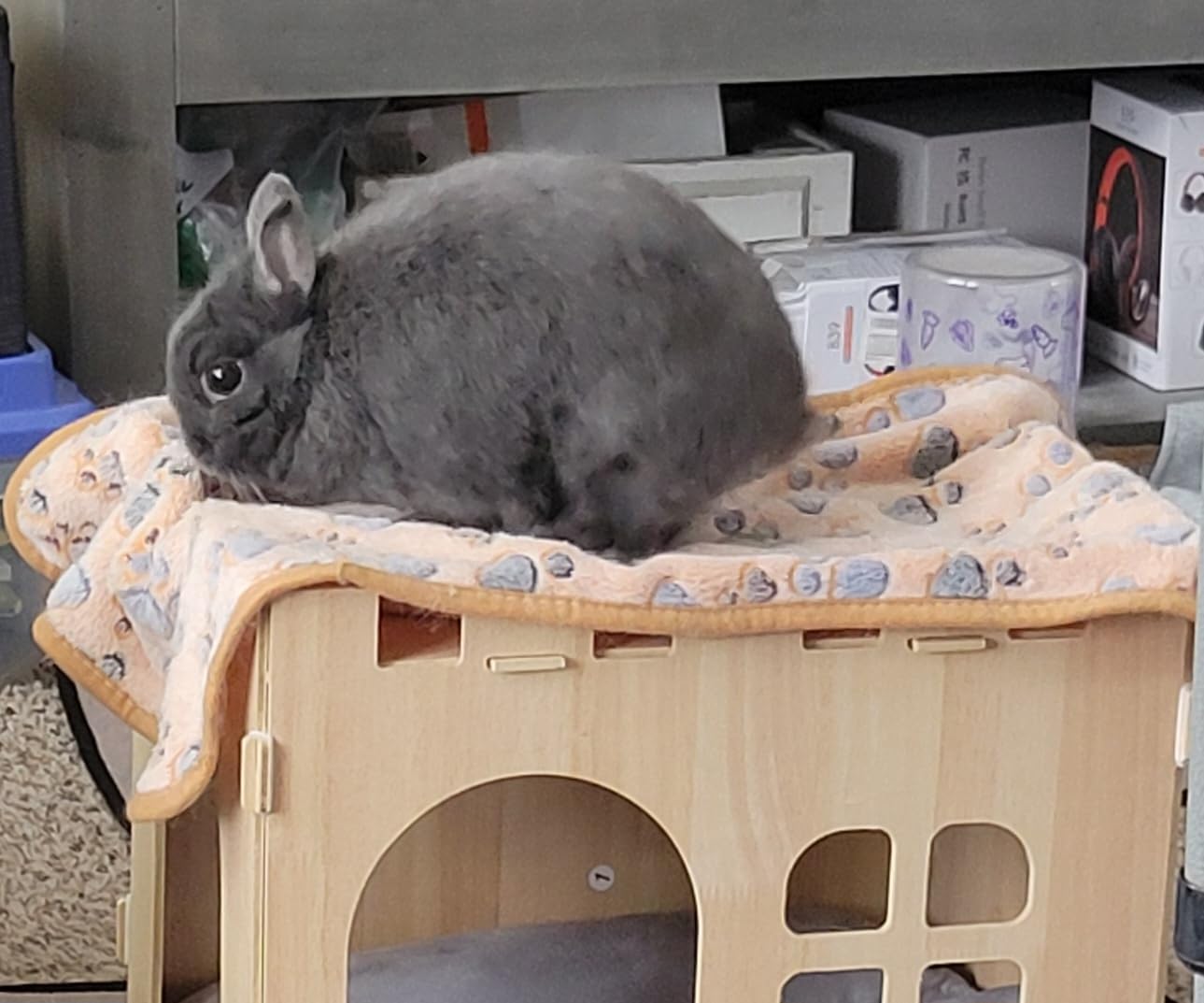 BWOGUE Large Wooden Bunny Hideout, Detachable Rabbit Castle for Small Animal | Two Doors, 2-Story Play & Rest customer photo 2