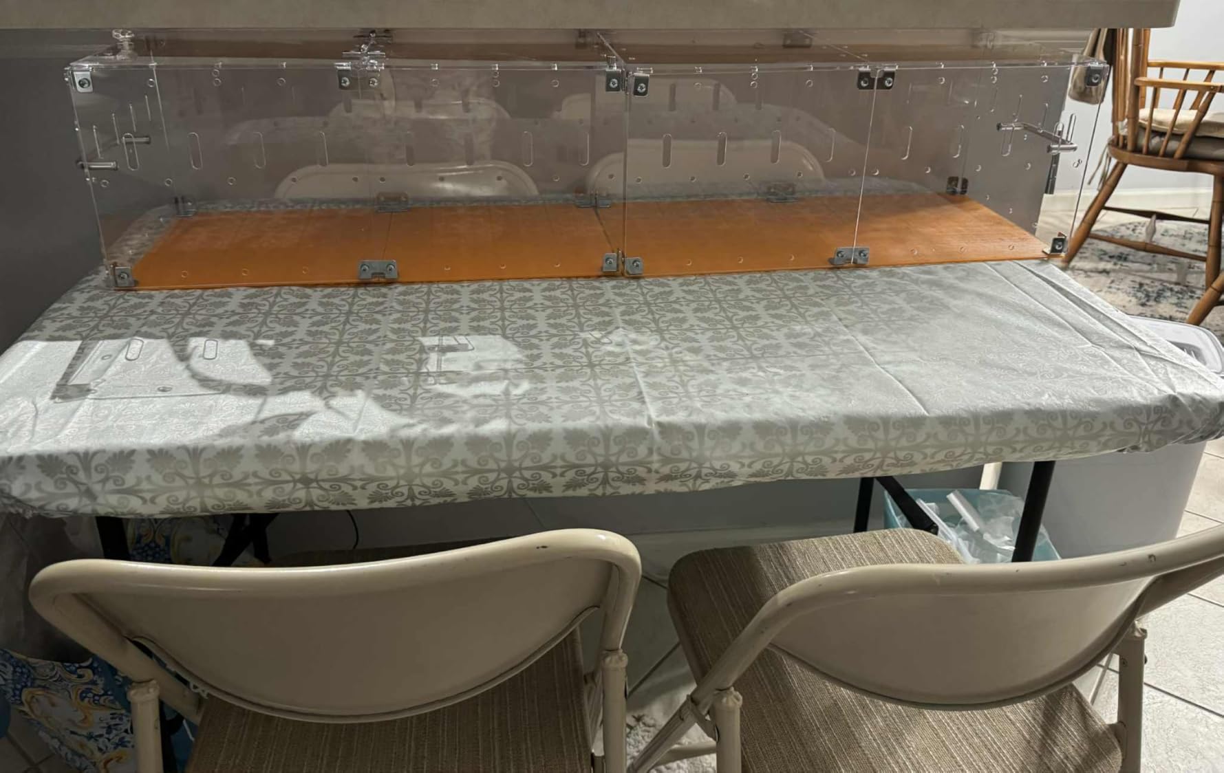 GuineaLoft Acrylic Cage (Model-P3) - Small 2x1' Enclosure w/Lid & Bottom | Ideal for Hamsters, Rats, Mice, Gerbils, or a Guinea Pig; Works as a Compact Cage or Transport Carrier customer photo 2