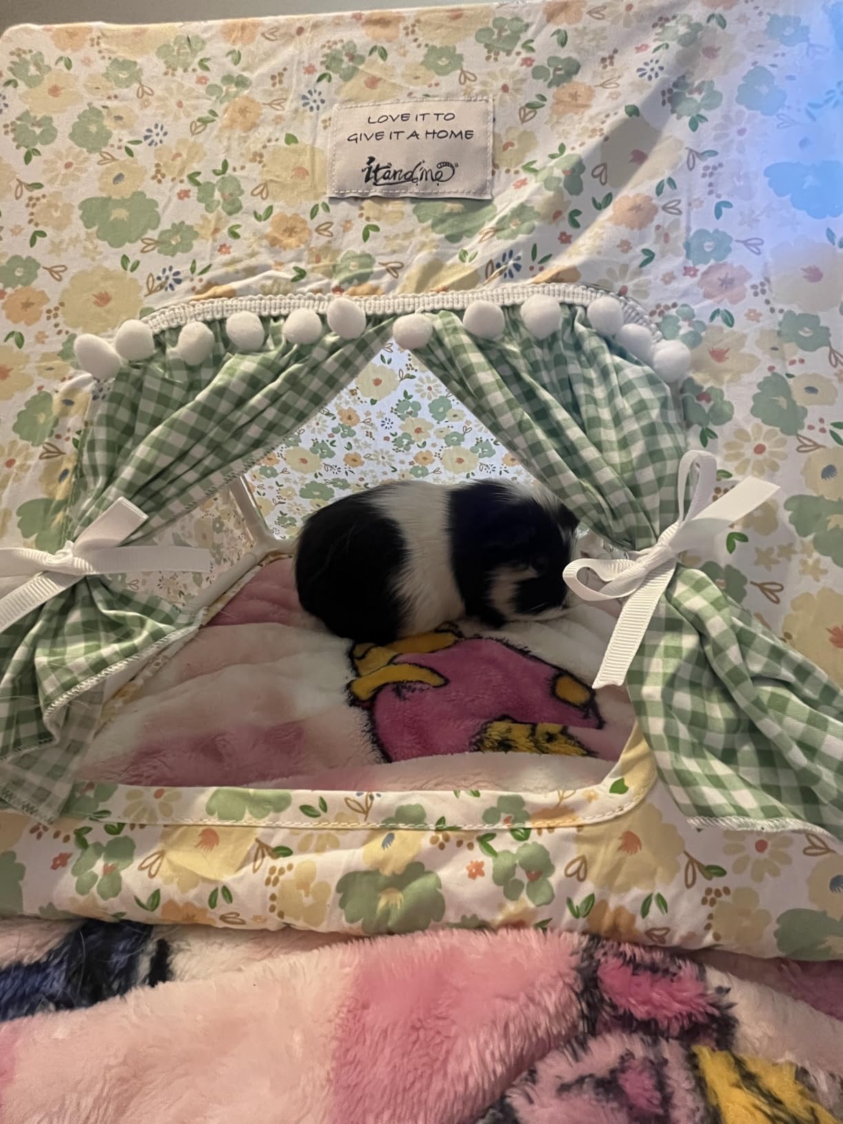 Jenvd Guinea Pig Hideout Large with Curtain, Machine Washable Bunny Hideout Tent customer photo 1