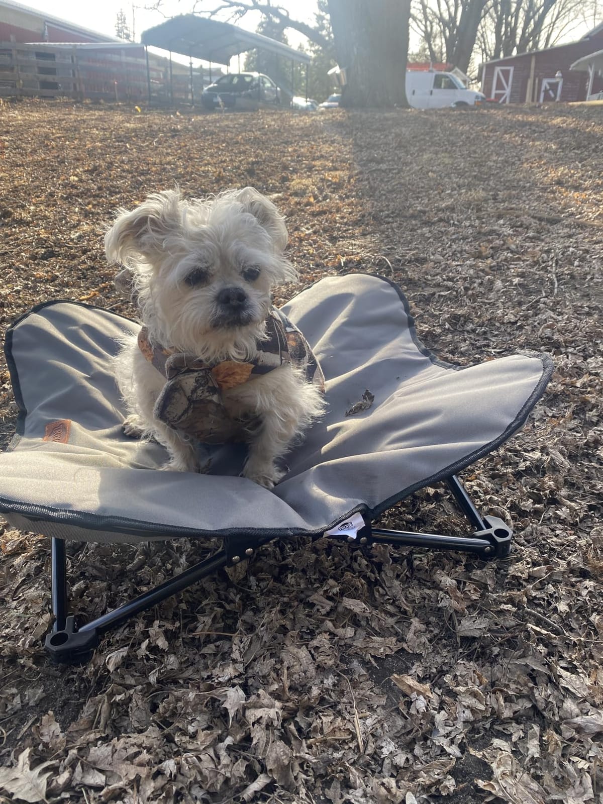 Trixie Camping Cot for Small Dogs up to 35 lb, 27.2