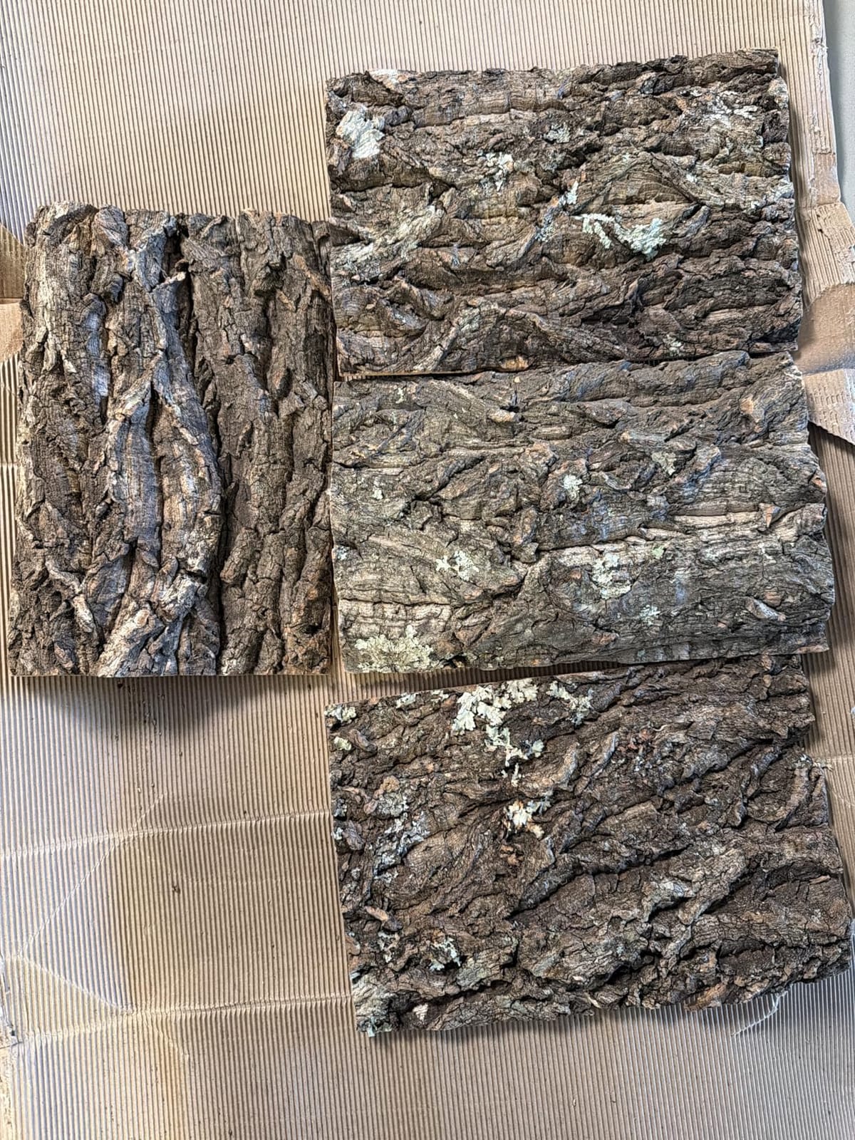 BNOSDM 4PCS Cork Bark Background, 11.8