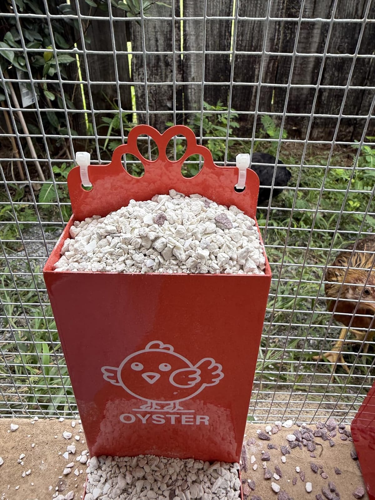 Chicken Feeder Galvanized 25Lbs Capacity Weatherproof Treadle Chicken Feeder Rodent Proof customer photo 1