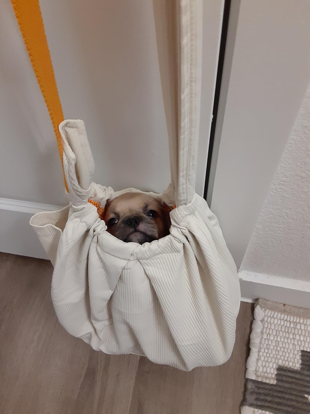 Ferret Sling Carrier - Pet Carrying Bag with Adjustable Strap Hands Free Shoulder Bag Crossbody Travel Slings Soft Small Animal Bonding Pouch Front Backpack for Ferret Rabbit Puppy Kitten customer photo 2