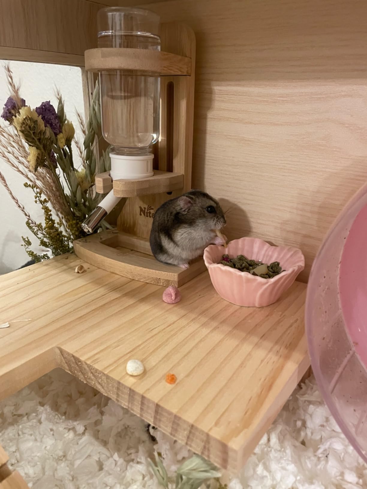 Small Ceramic Pet Hamster Bowl, Easy to Clean Anti Flipping Hamsters Food and Water Bowl, Small Animal Bowls for Dwarf Hamster, Parrots (Pink, s) customer photo 2