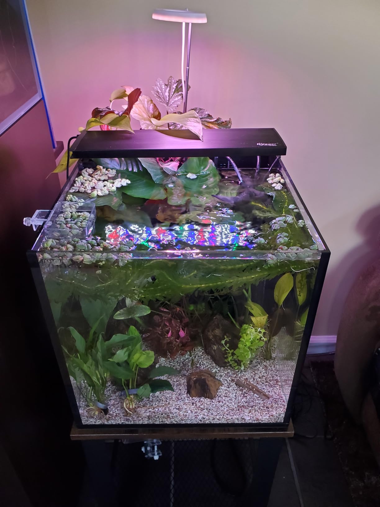 Innovative Marine Starter Kit Aquariums (25 Gallon Lagoon) customer photo 2