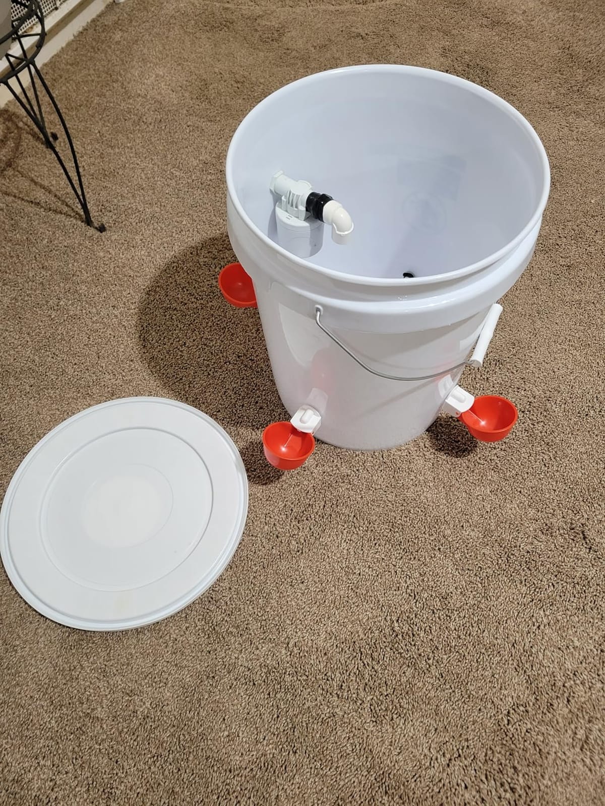 DIY Automatic Chicken Waterer Kit with 4 Cups & Float Valve | Full Kit with Drill Bits & Hose Clamps, Leak-Proof Seal, 304 Stainless Steel Parts for Backyard & Farm Poultry customer photo 2