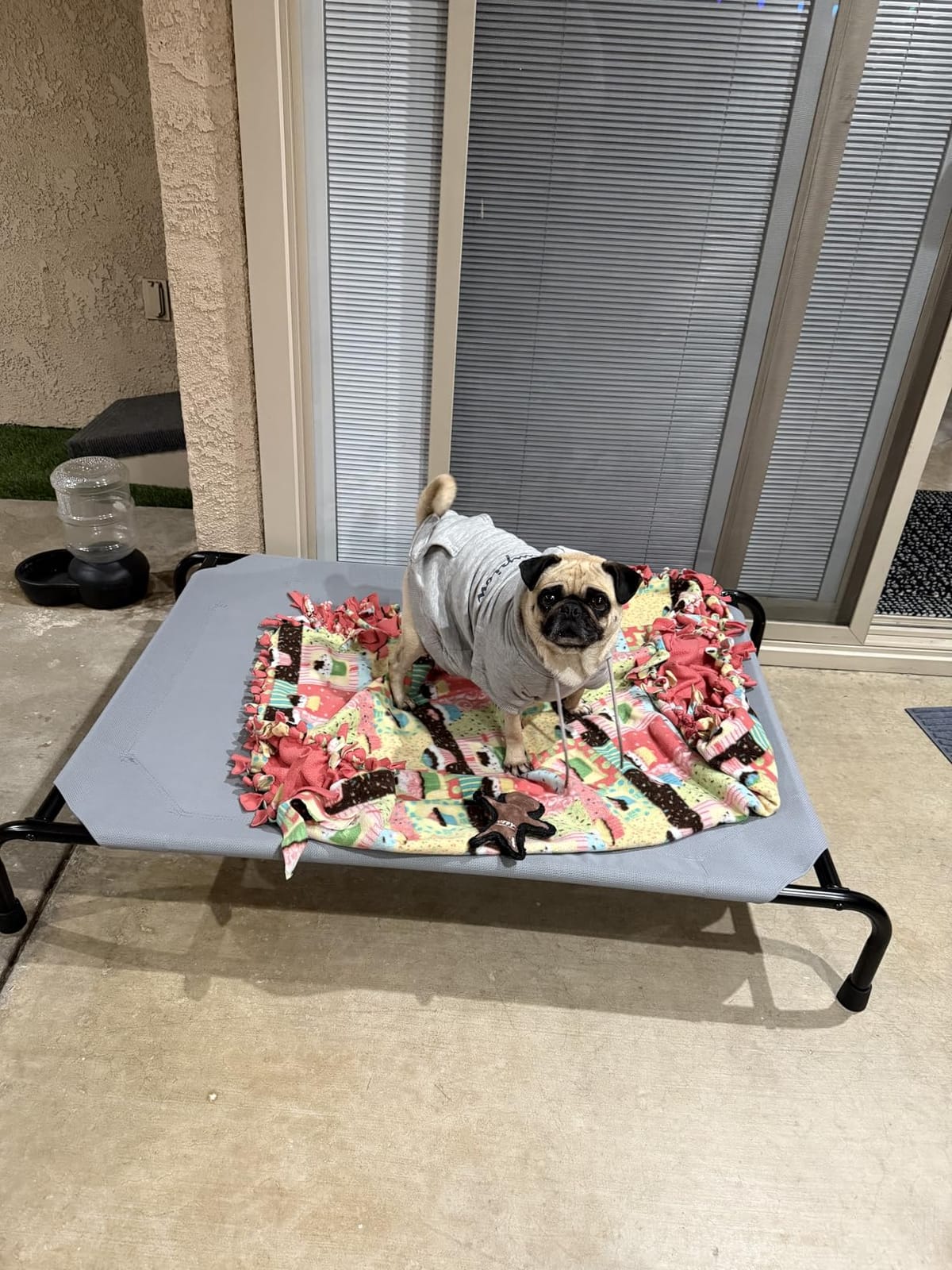 Simple Trending Raised Dog Bed for Large Dogs, Waterproof XL Dog Cot, Grey | Outdoor Cooling Elevated Pet Bed Load 200lb, 47.75