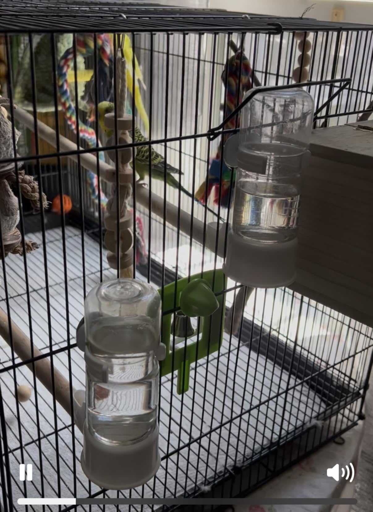 2 Pack Automatic Bird Cage Water Dispenser, 4.73 oz Parakeet Water Feeder | Water Dispenser for Birds, Gravity Flow Helps Reduce Mess, Rotating Cage Clip, Budgies Cockatiels Lovebirds customer photo 1