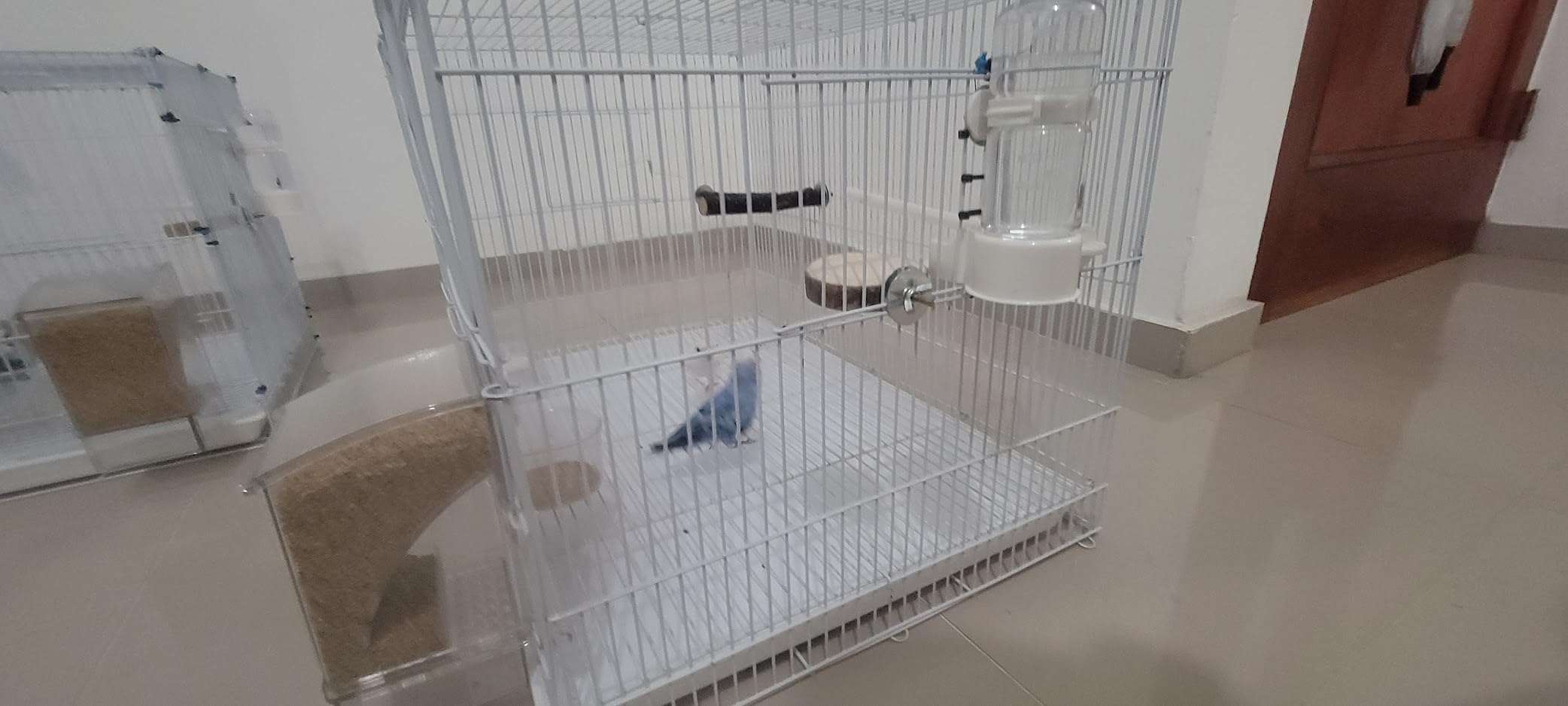 2 Pack Automatic Bird Cage Water Dispenser, 4.73 oz Parakeet Water Feeder | Water Dispenser for Birds, Gravity Flow Helps Reduce Mess, Rotating Cage Clip, Budgies Cockatiels Lovebirds customer photo 2