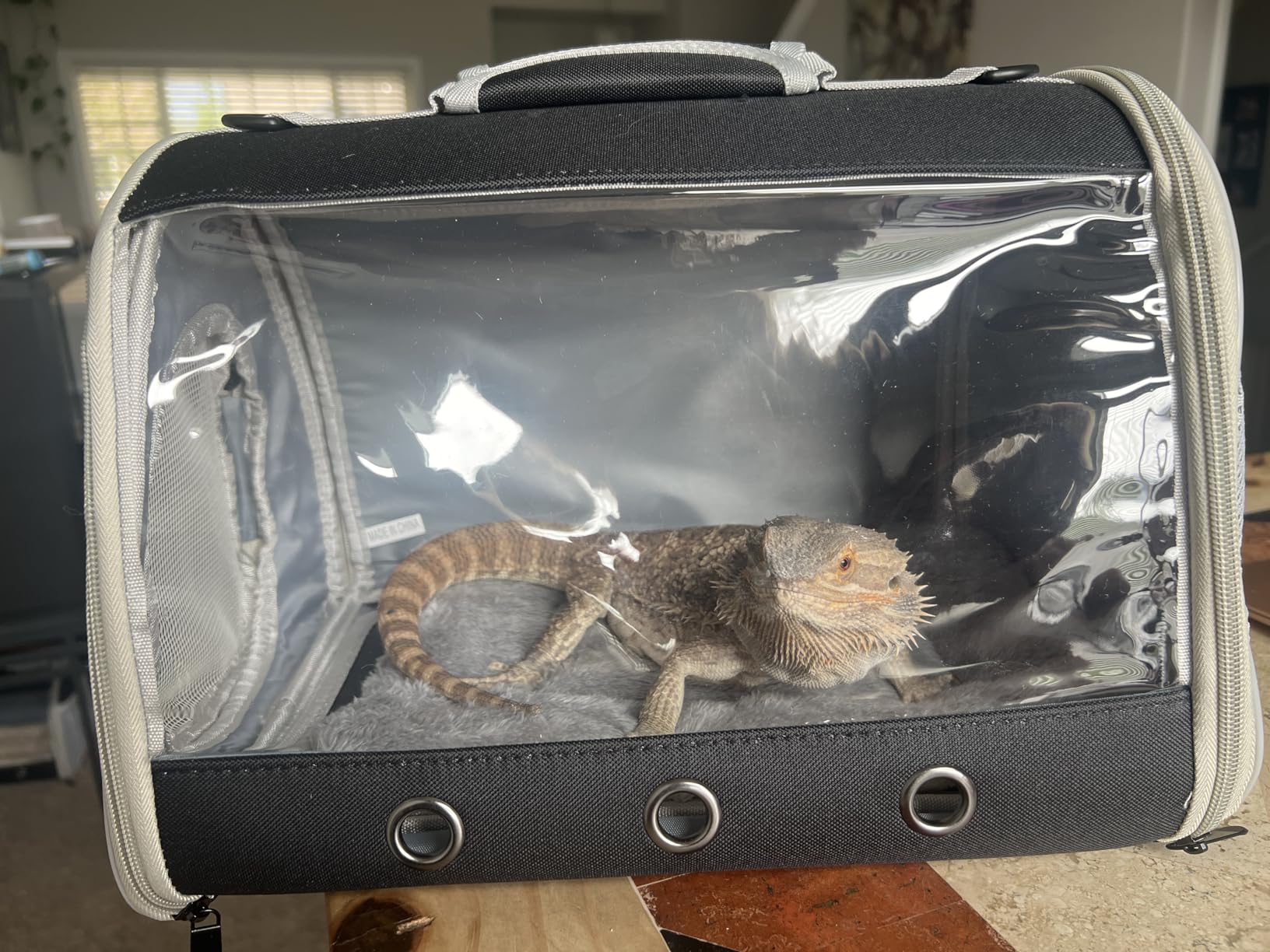 Bearded Dragon Travel Carrier Backpack, Lizard Backpack Carrier, Space Capsule Clear Bubble Window Astronaut Reptile Carrier Backpack for Guinea Pig, Sugar Glider, Bunny (Green, TPU Carrier+MAT) customer photo 1
