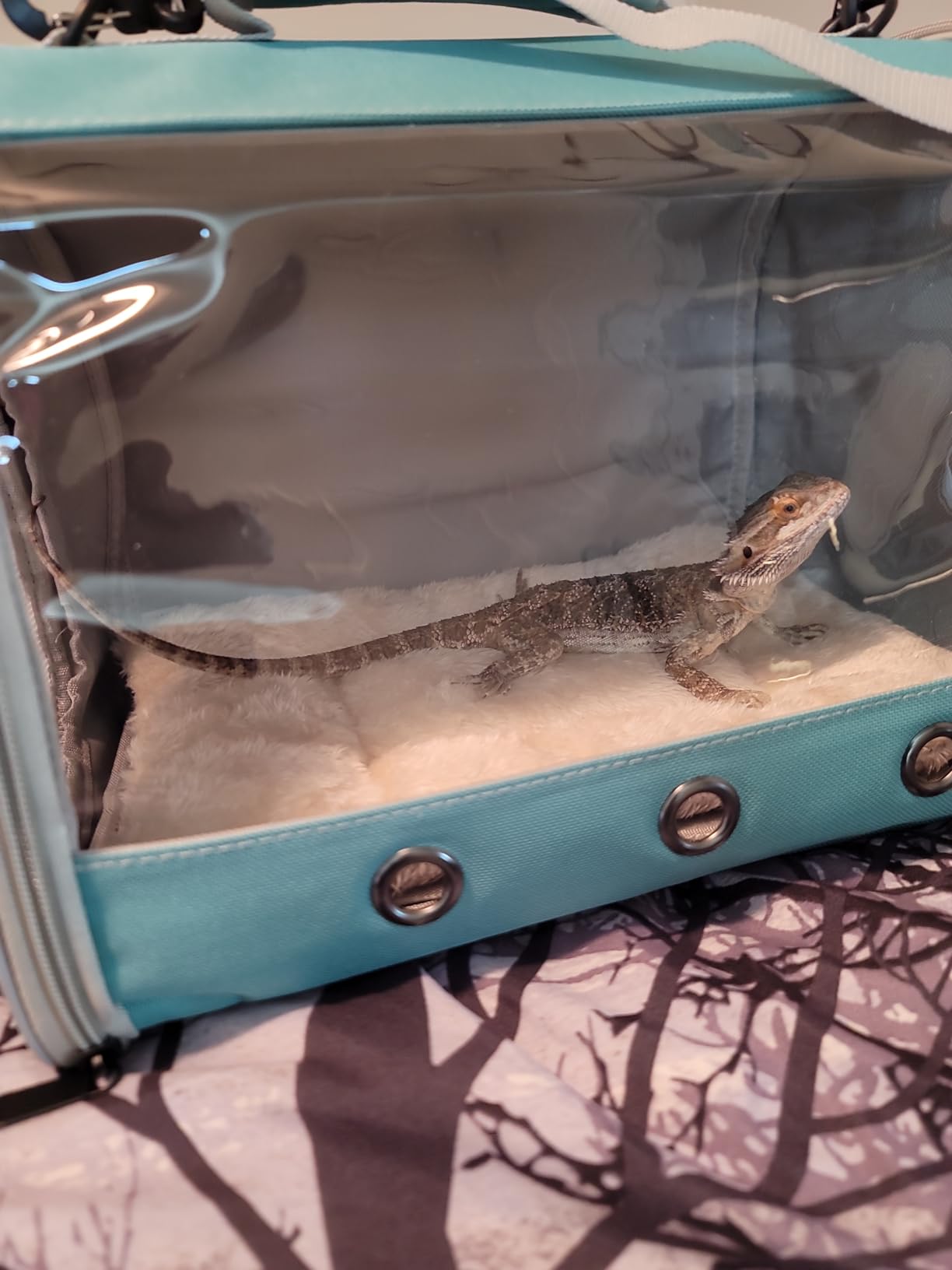 Bearded Dragon Travel Carrier Backpack, Lizard Backpack Carrier, Space Capsule Clear Bubble Window Astronaut Reptile Carrier Backpack for Guinea Pig, Sugar Glider, Bunny (Green, TPU Carrier+MAT) customer photo 2