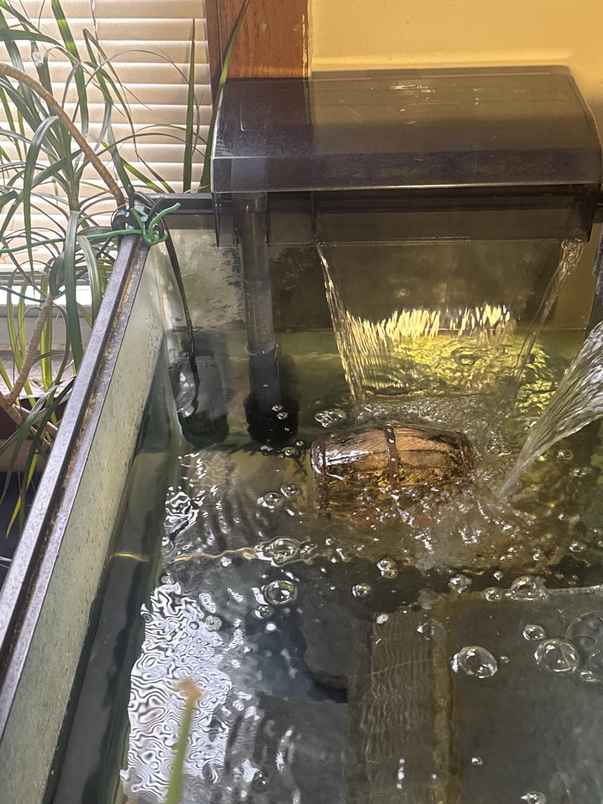 AC110 Power Filter, 60-110 US Gal / 227-416 L - Fluval USA (fluvalaquatics.com) customer photo 1