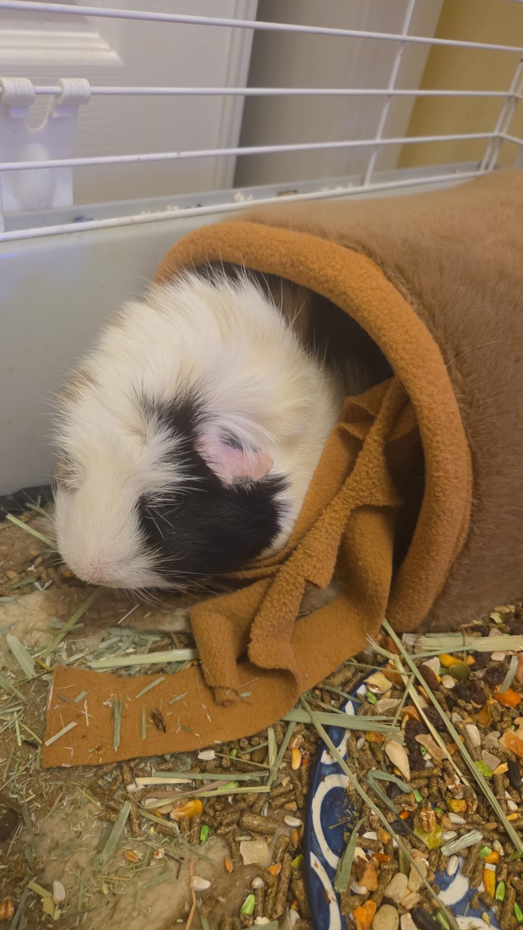 Avont Guinea Pig Tunnel, Small Animal Hideaway Tube Toy, Cozy Plush 2-In-1 Design customer photo 2