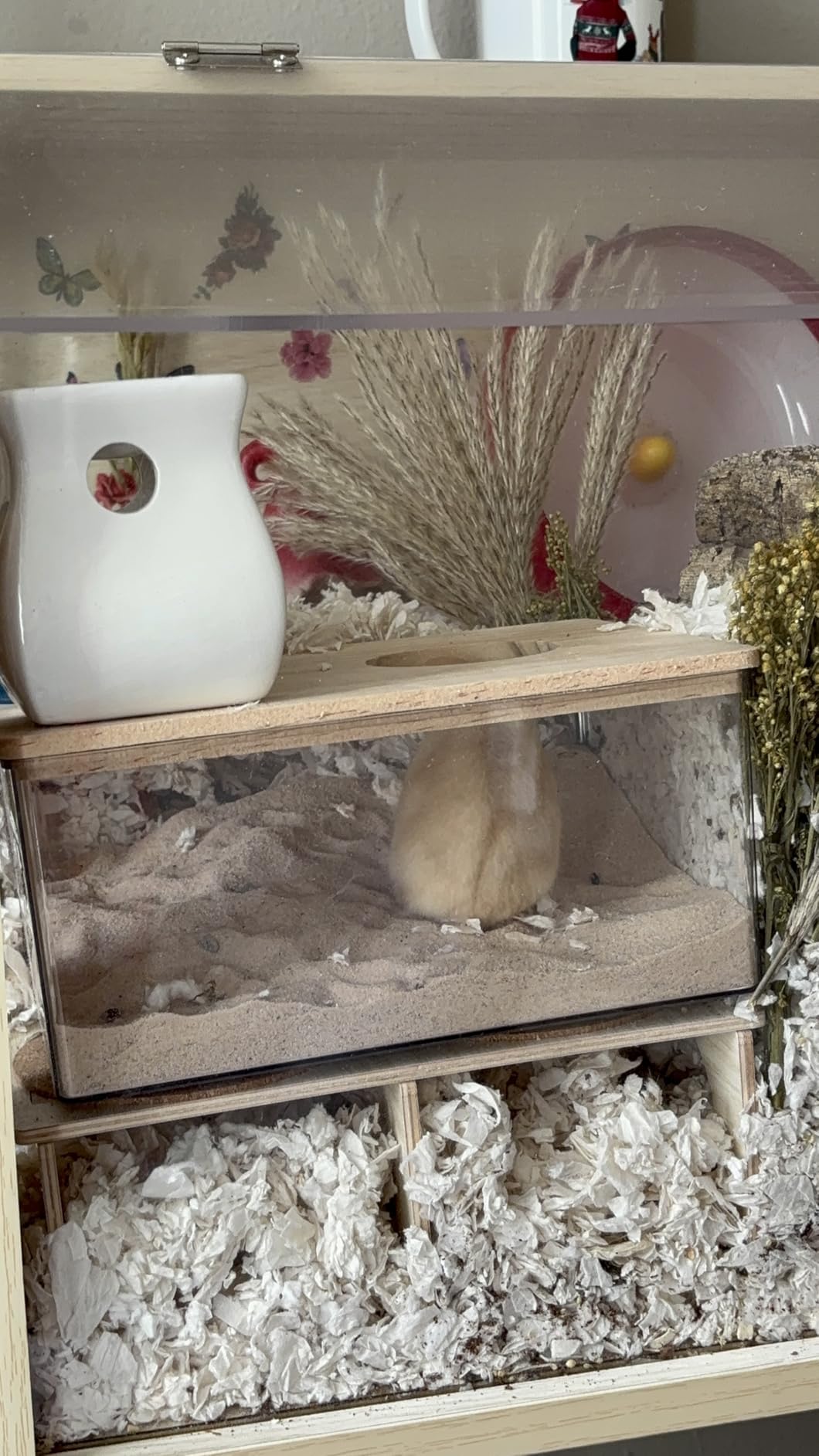QWORK Hamster Sand Bath Box - Clear Acrylic Habitat Bath with Wooden Lid for Dwarf Hamsters, Digging & Grooming customer photo 2