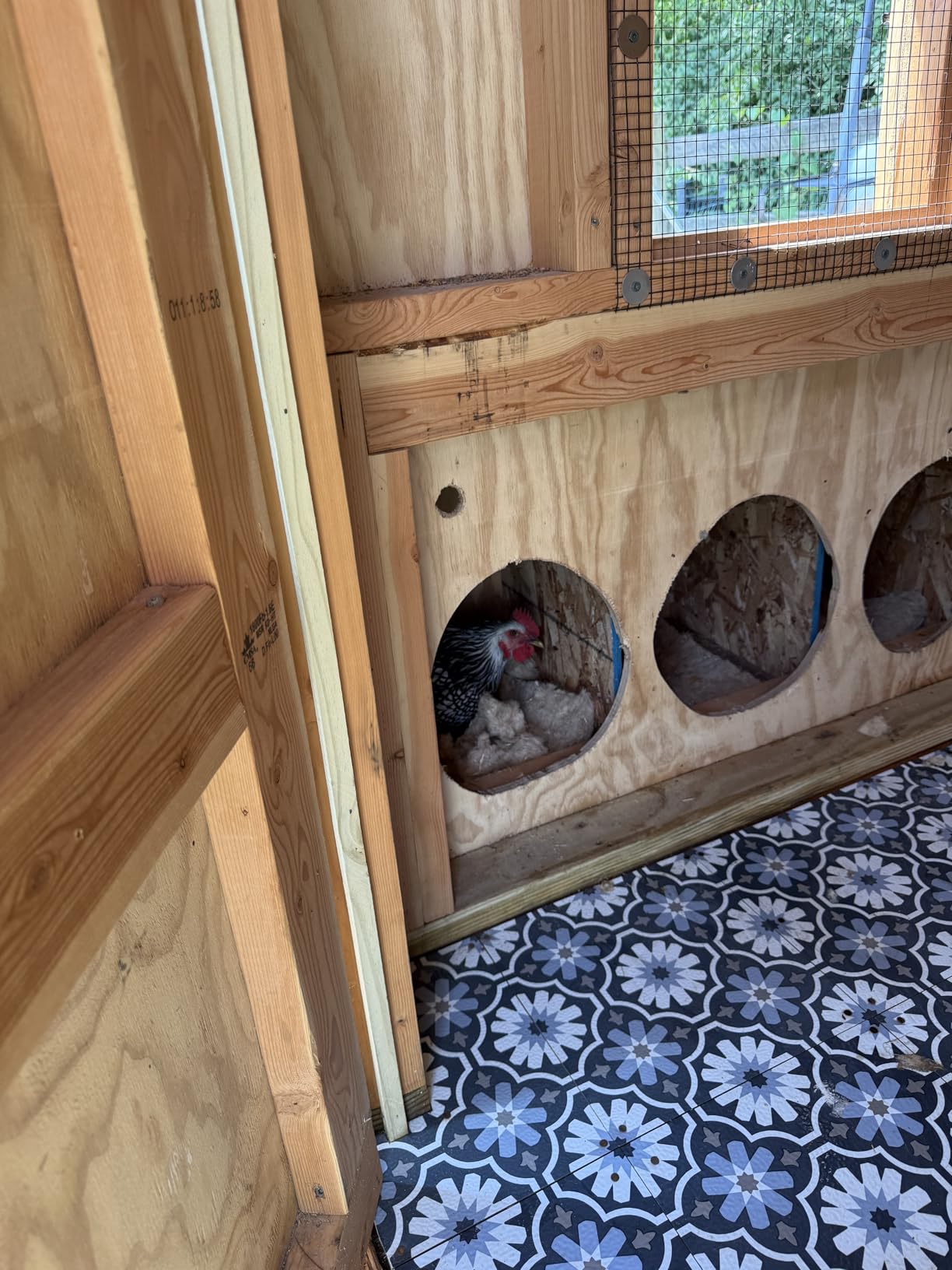 Eaton Pet and Pasture Premium Nesting Herbs, Aromatic Blend for Nesting Boxes & Chicken Coop customer photo 1