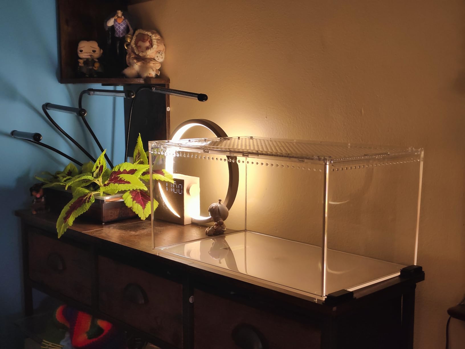 Reptile PC Tank, Escape Proof Magnetic Lid Tarantula Enclosure Large | Easy Clean Seamless Base Hermit Crab Habitat, Stackable Isopod Terrarium, Cross Ventilation Spider Starter Cage, Frog Container customer photo 1