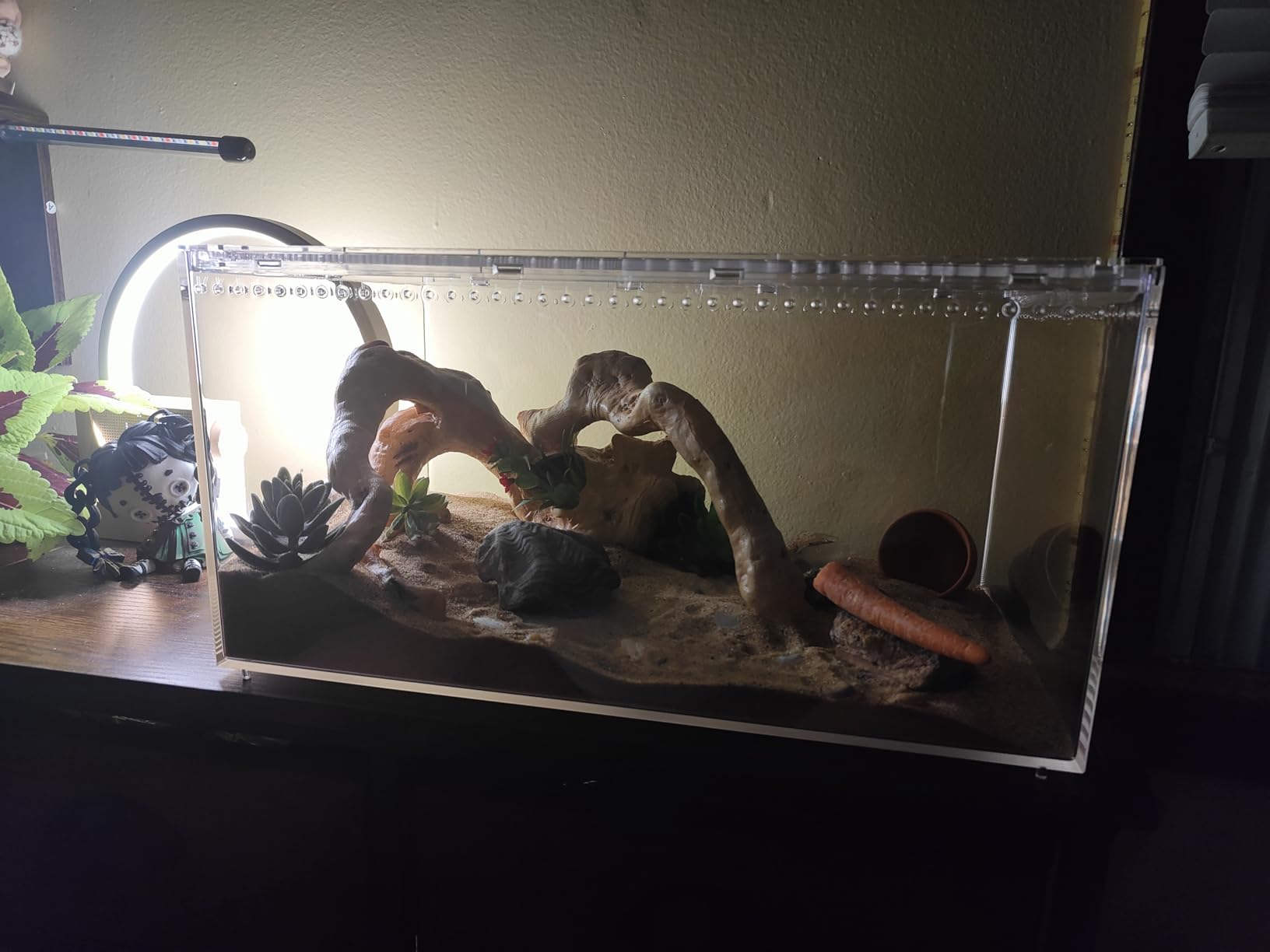 Reptile PC Tank, Escape Proof Magnetic Lid Tarantula Enclosure Large | Easy Clean Seamless Base Hermit Crab Habitat, Stackable Isopod Terrarium, Cross Ventilation Spider Starter Cage, Frog Container customer photo 2