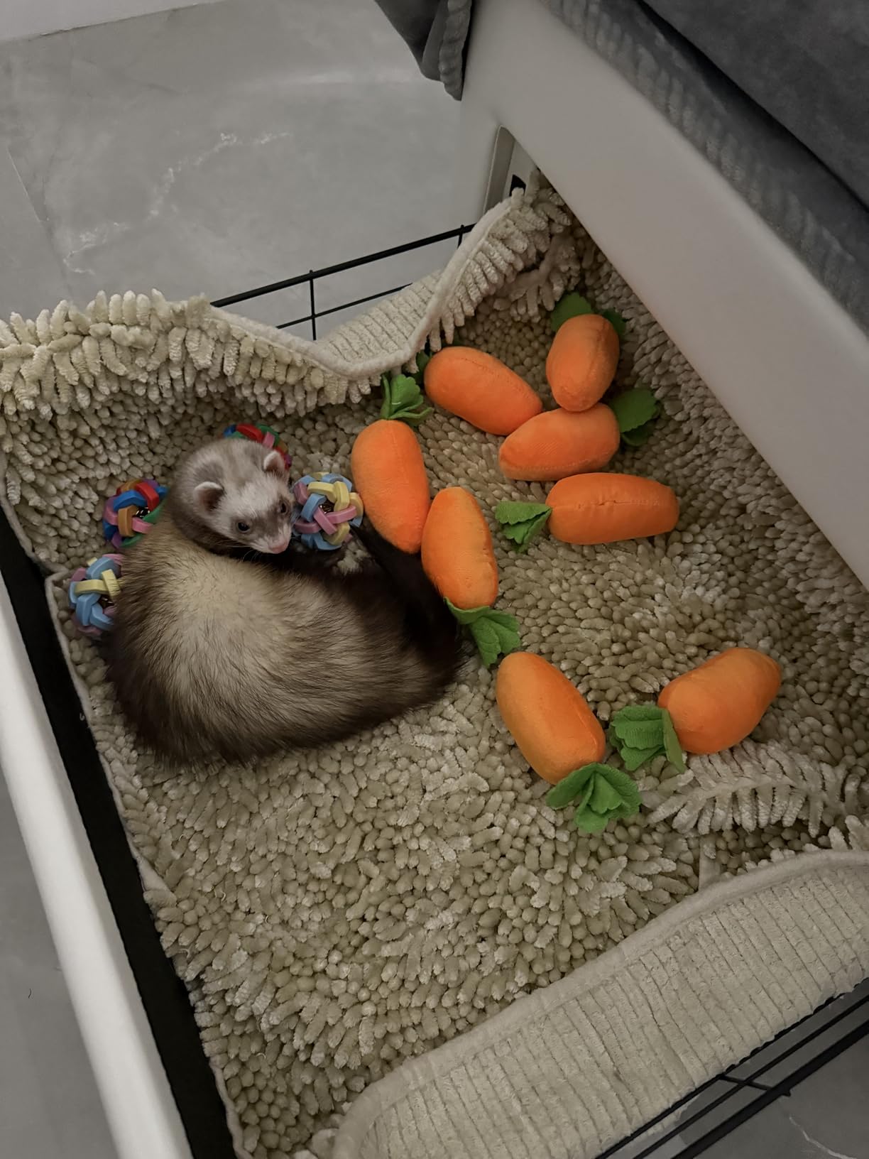 Ferret Foraging Toys Novelty Carrot Snuffle Mat Interactive Pet Treat Enrichment Toys for Small Animals Bunny Rabbit Chinchilla Guinea Pig Hamster (12Carrot) customer photo 1