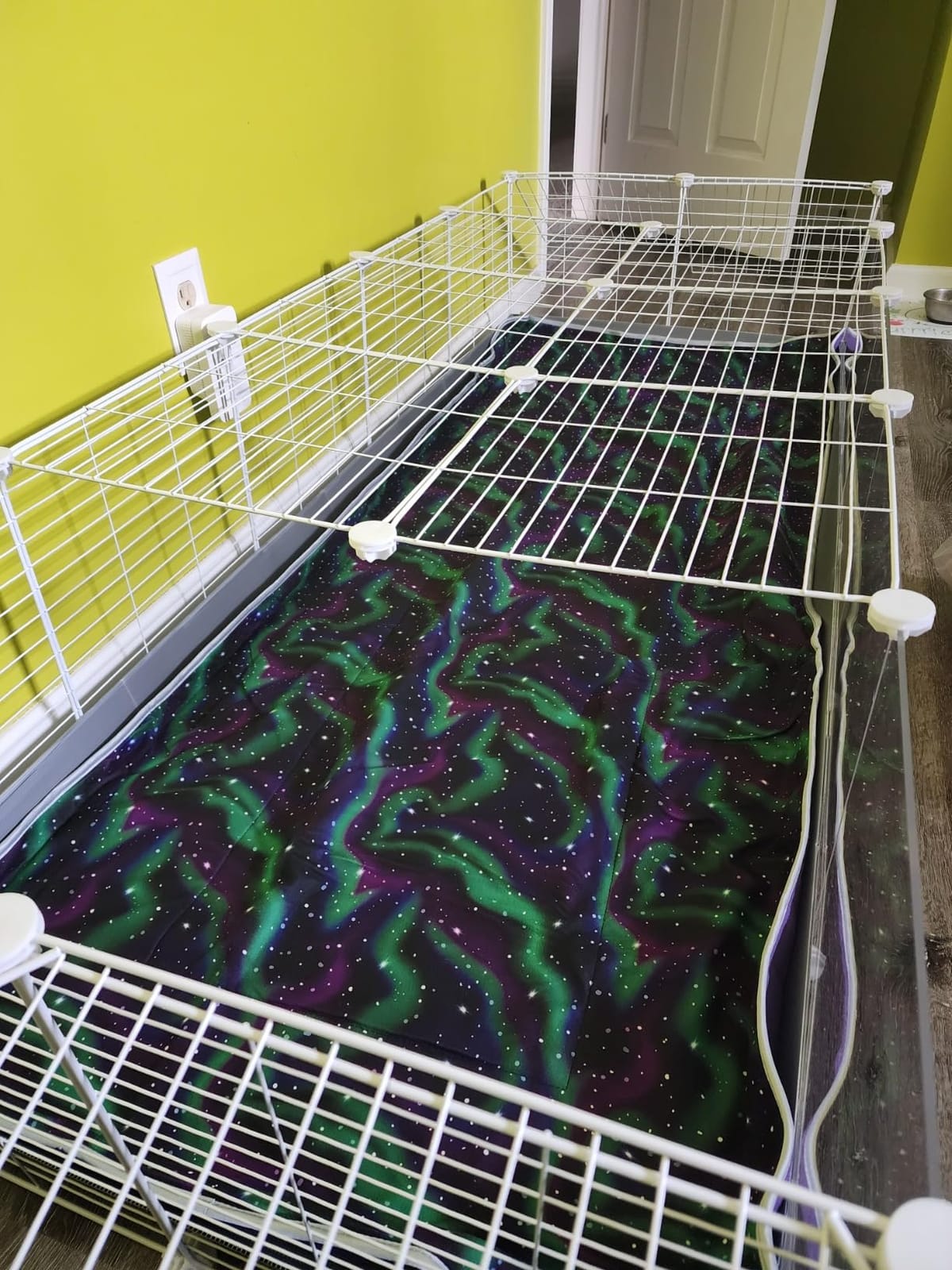 Tater Pets Guinea Pig Fleece Cage Liner - Tidy Mat - Lap Pad - Corner Pad - Absorbent - Machine Washable - for Guinea Pigs and Hedgehogs (2x5 C&C (28