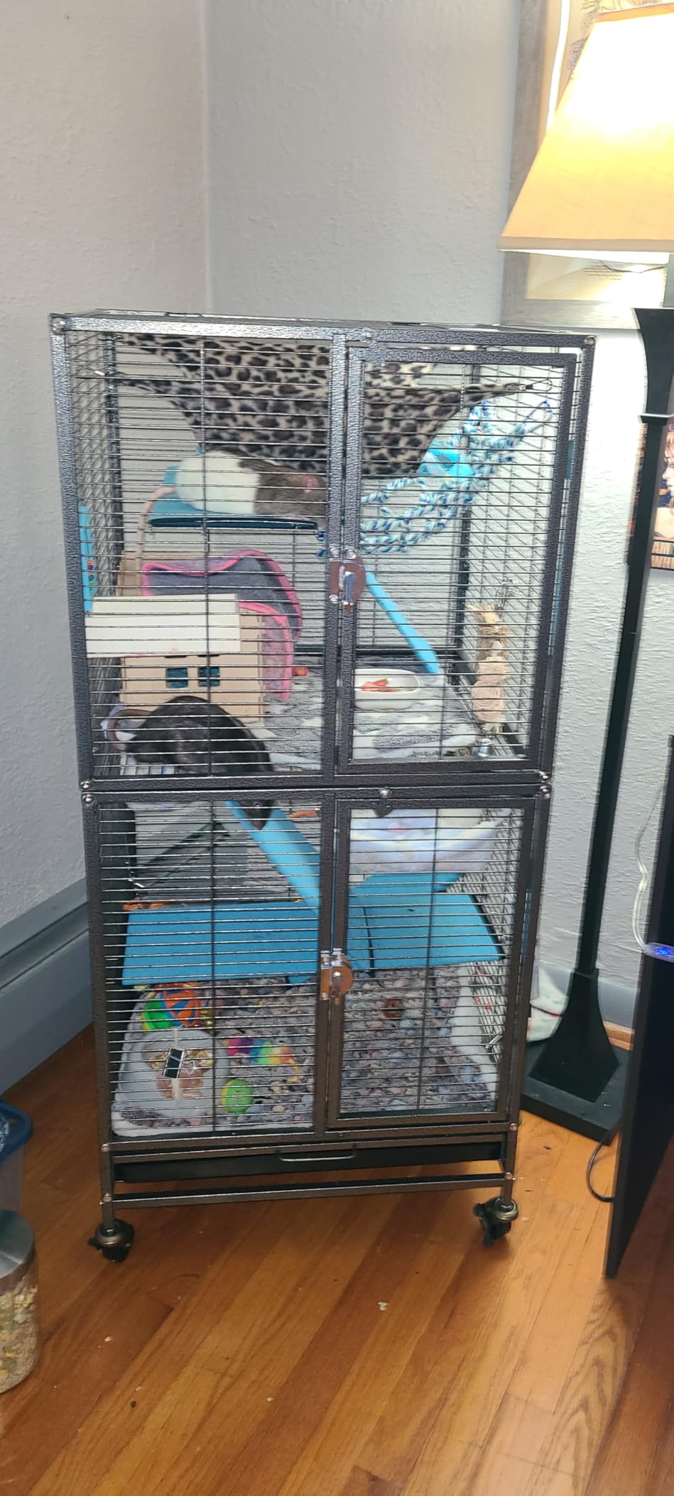 Deluxe Double Unit Two Full Story Durable Front Doors Tight 1/2-inch Wire Spacing Chew-Free Small Animal Critter Home Cage Water Bottle Food Bowl for Feisty Ferret Hammock Rat Mice On Wheels customer photo 1
