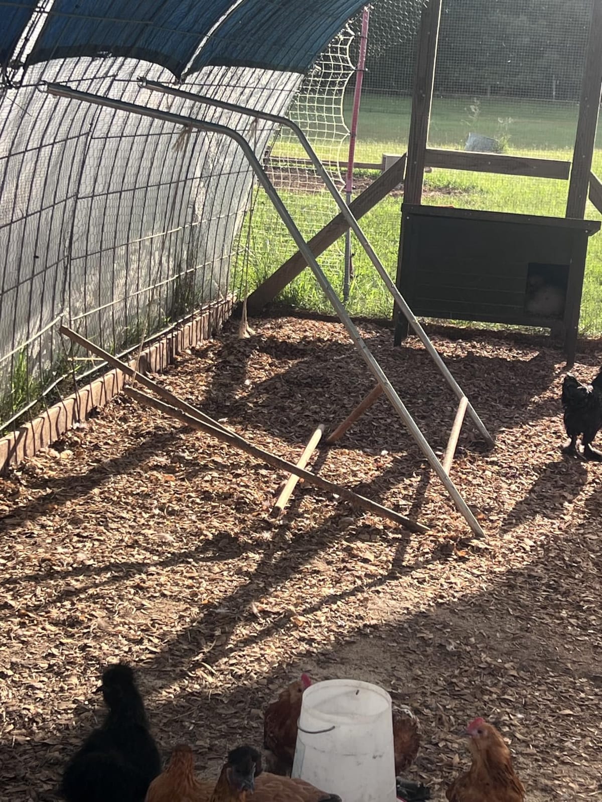 Chicken Roosting Bars with Swing for Coop, Large 4-Tier Wood Chicken Perch for Backyard Poultry, Non-Slip Design, Durable Galvanized Metal Frame, Essential Chicken Coop Accessories (55