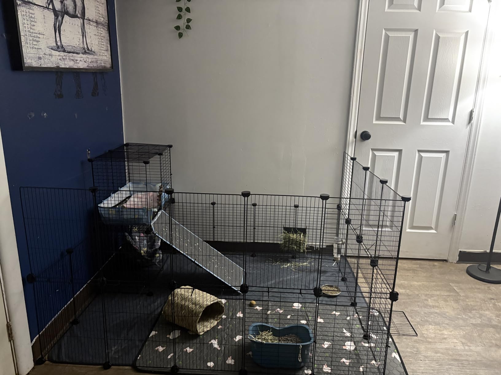 Guinea Pig Cages with Tarp and Bedding Pee Pad Liner, 2-Story Large Guinea Pig Playpen C&C Loft Cage for 2 Rabbit Bunny Chinchilla Small Animal Habitat for Indoor customer photo 2