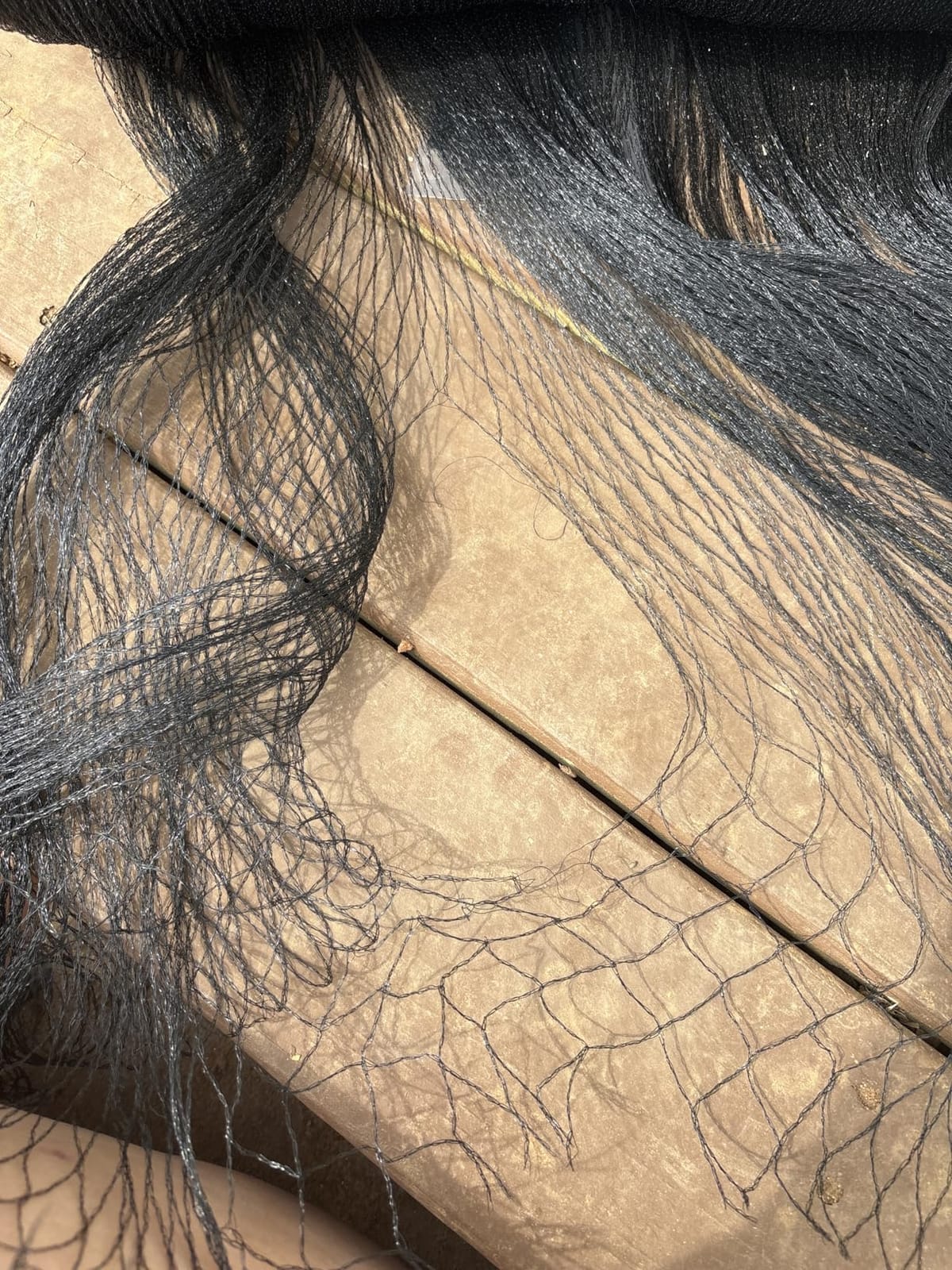Bird Netting for Chicken Coop 25x50 Ft, 1
