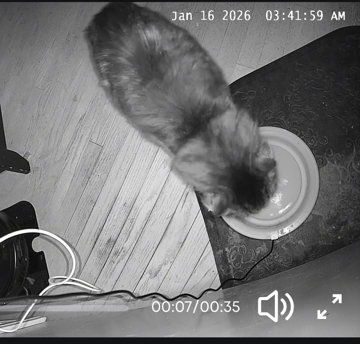 eufy Security 4K Indoor Camera E30, No Subscription, Work as Pet Camera customer photo 2
