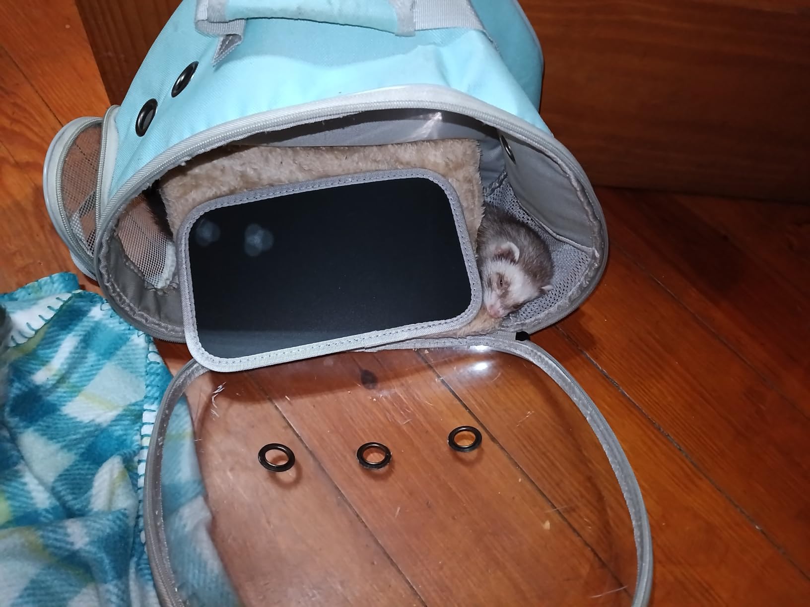 Portable Small Animal Backpack Travel Breathable Pet Carrier Bag Cages for Guinea Pig, Rabbit, Bearded Dragon, Squirrel, Tortoise, Bird, Lizard, Sugar Glider customer photo 2