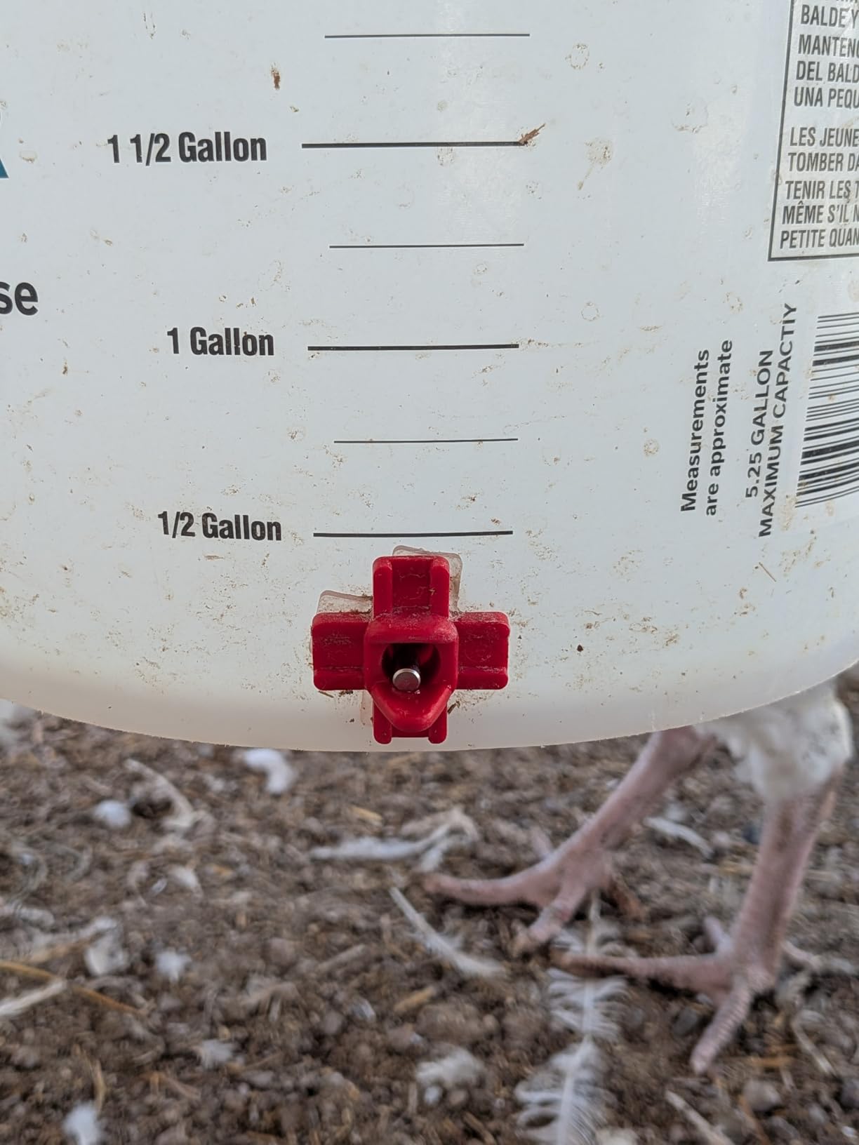 Automatic Chicken Waterer Nipples with Drill Bit (20 Pack Red) | Leak-proof Horizontal Poultry Watering System, Side Mount For Chickens customer photo 2
