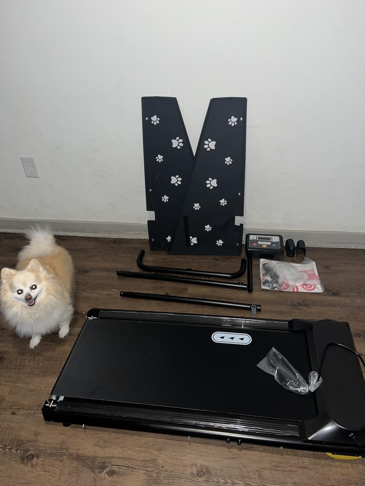 CIIHI Dog Treadmill for Medium Small Dogs - Pet Running Machine customer photo 1