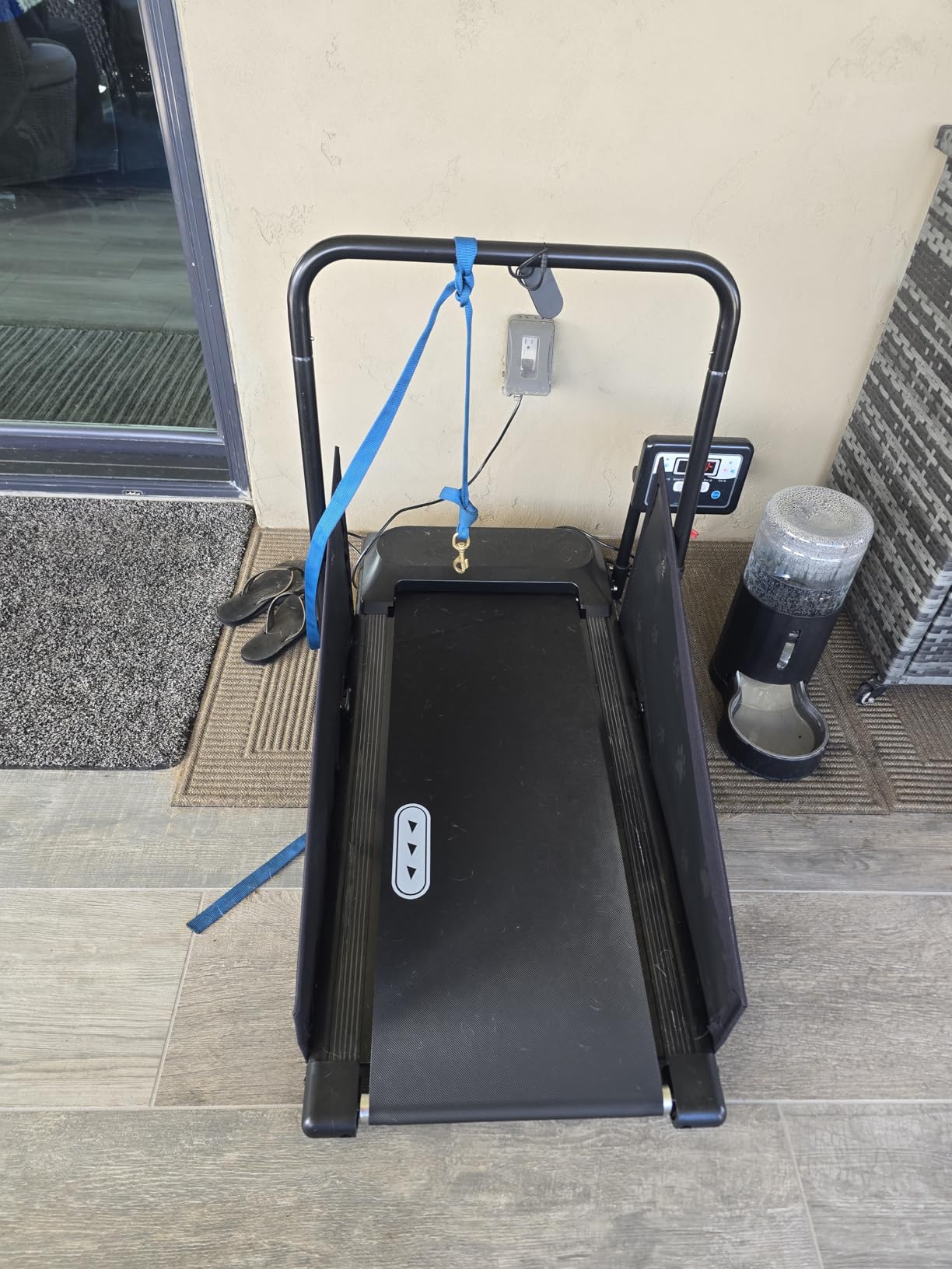 CIIHI Dog Treadmill for Medium Small Dogs - Pet Running Machine customer photo 2