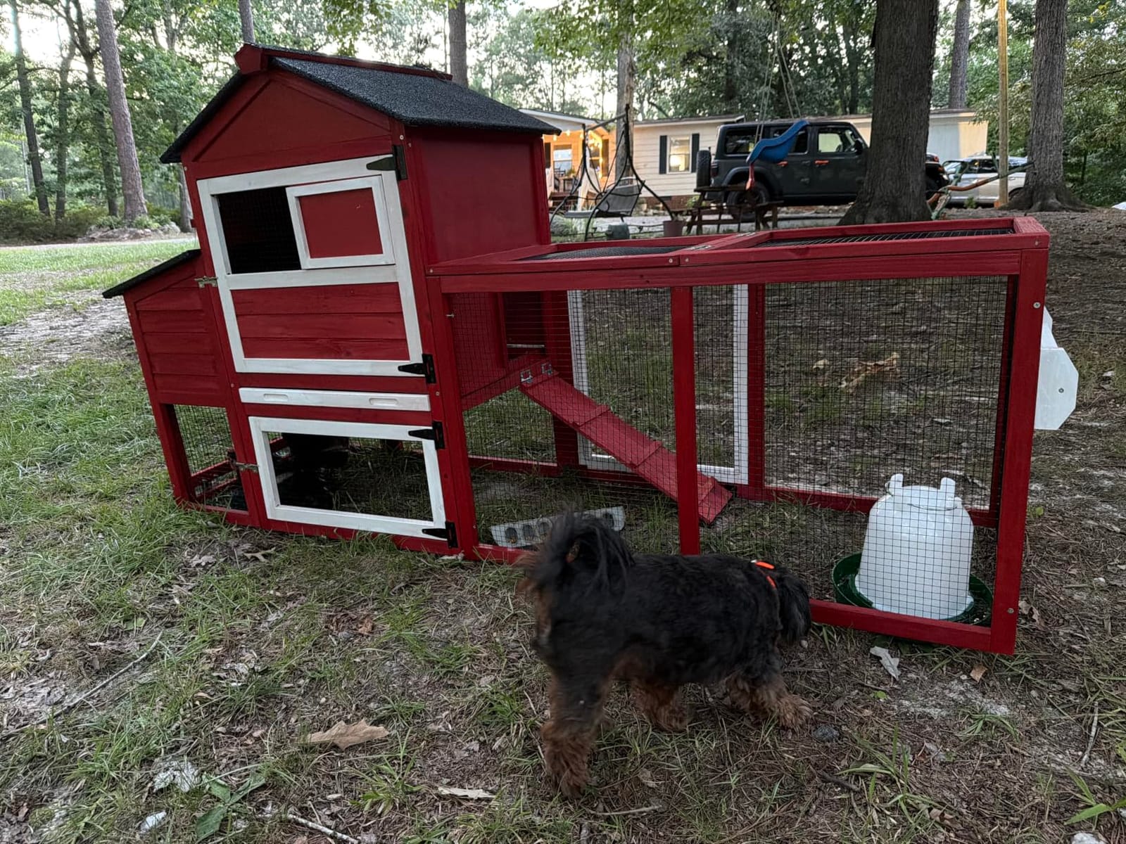 Mobile Chicken Coop with Wheels for 4-6 Chickens, Large Outdoor Hen House with Run, Weatherproof Asphalt Roof, Sectionable Nesting Box & Pull-Out Tray customer photo 2