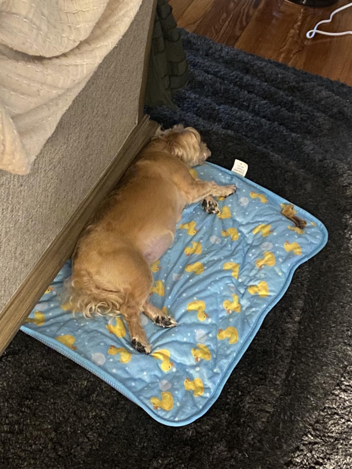 NACOCO Summer Pet Cooling Mat - Cat Dog Cushion Pad Sleeping Cool Ducks Comfortable Soft for Pets Kids and Adults (Blue Duck, S) customer photo 1