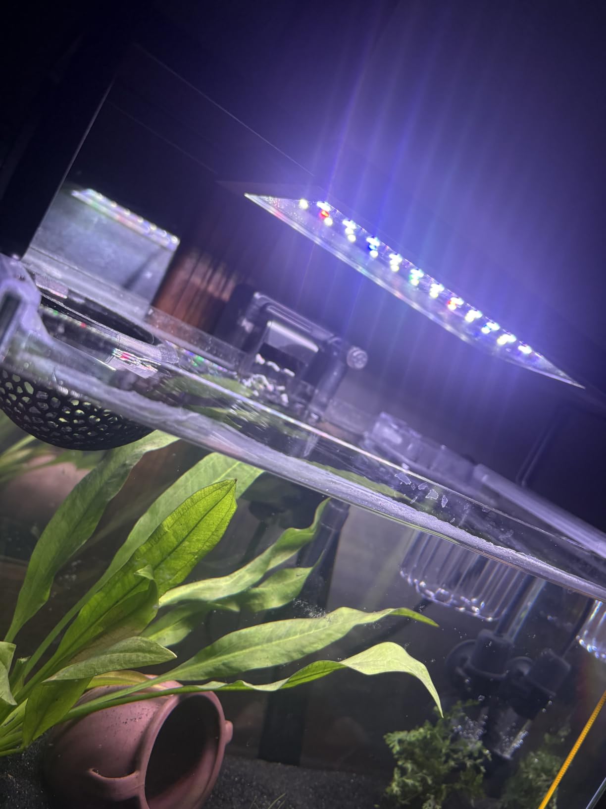 SEAOURA 24/7 Planted LED Aquarium Light for Fish Tank 30-36 in customer photo 1
