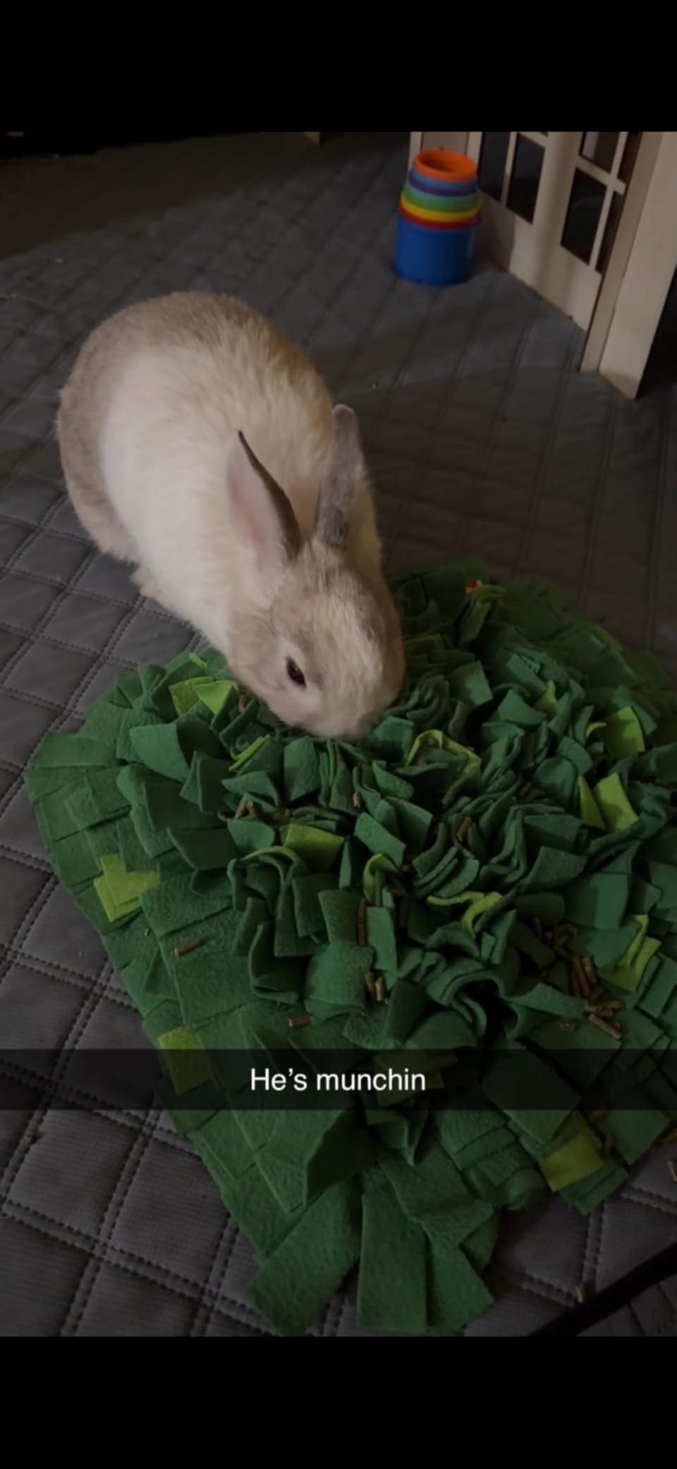 Rabbit Foraging Mat, Interactive Bunny Snuffle Feeding Toy | Soft Indoor Enrichment Pet Toy for Guinea Pig, Hamster, Chinchilla, Puppy, Kitten, Small Animals customer photo 1