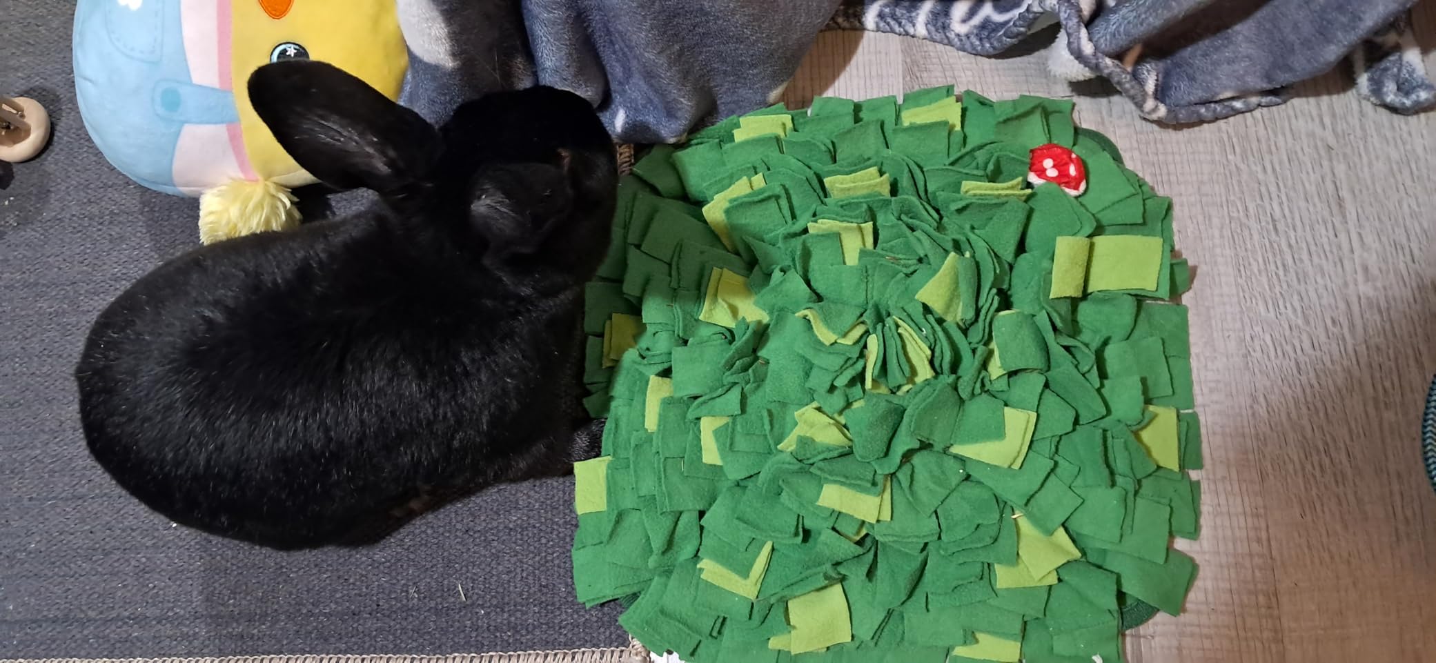 Rabbit Foraging Mat, Interactive Bunny Snuffle Feeding Toy | Soft Indoor Enrichment Pet Toy for Guinea Pig, Hamster, Chinchilla, Puppy, Kitten, Small Animals customer photo 2