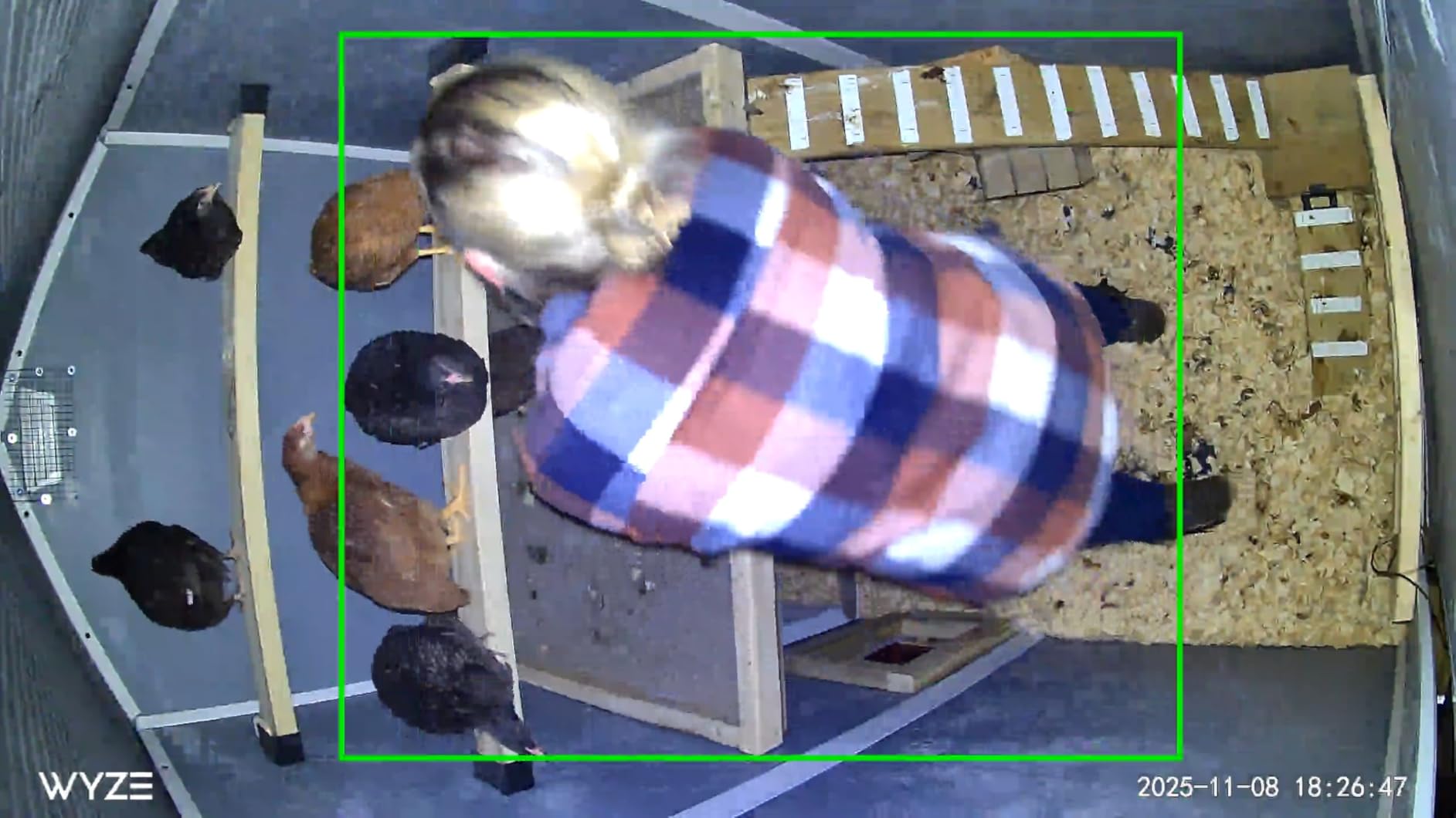 Okkobi Automatic Chicken Coop Door Solar Powered - LCD Display - Chicken Coop Door with Light Sensor & Timer - Security & Peace of Mind: Anti-Pinch Function - 5-Year Protection - Black customer photo 1