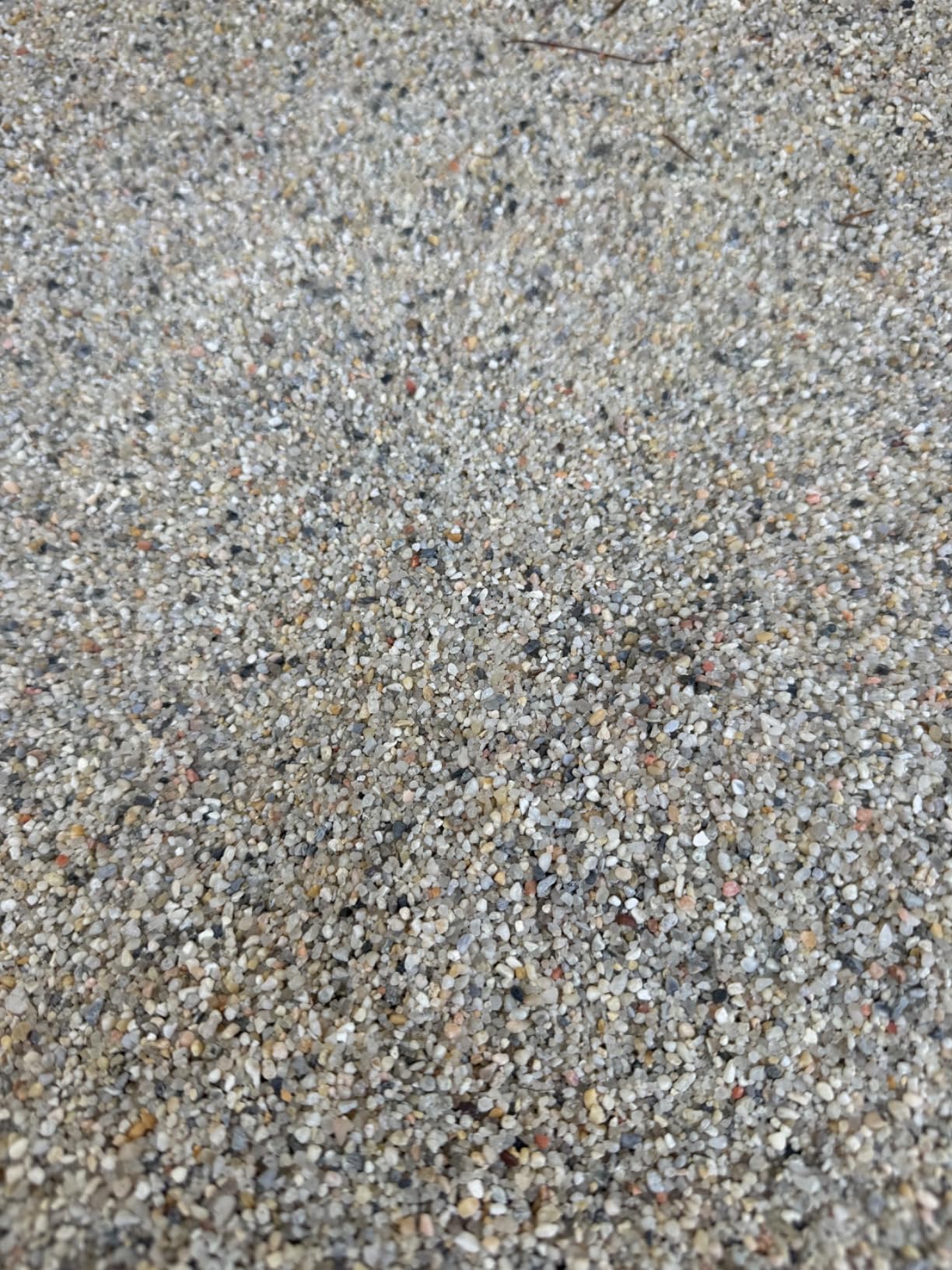 Premium Chicken Sand 50 lbs - Dust-Free, Odor-Control Bedding for Chicken Coops, Nesting Boxes, and Runs - Natural Poultry Litter customer photo 1