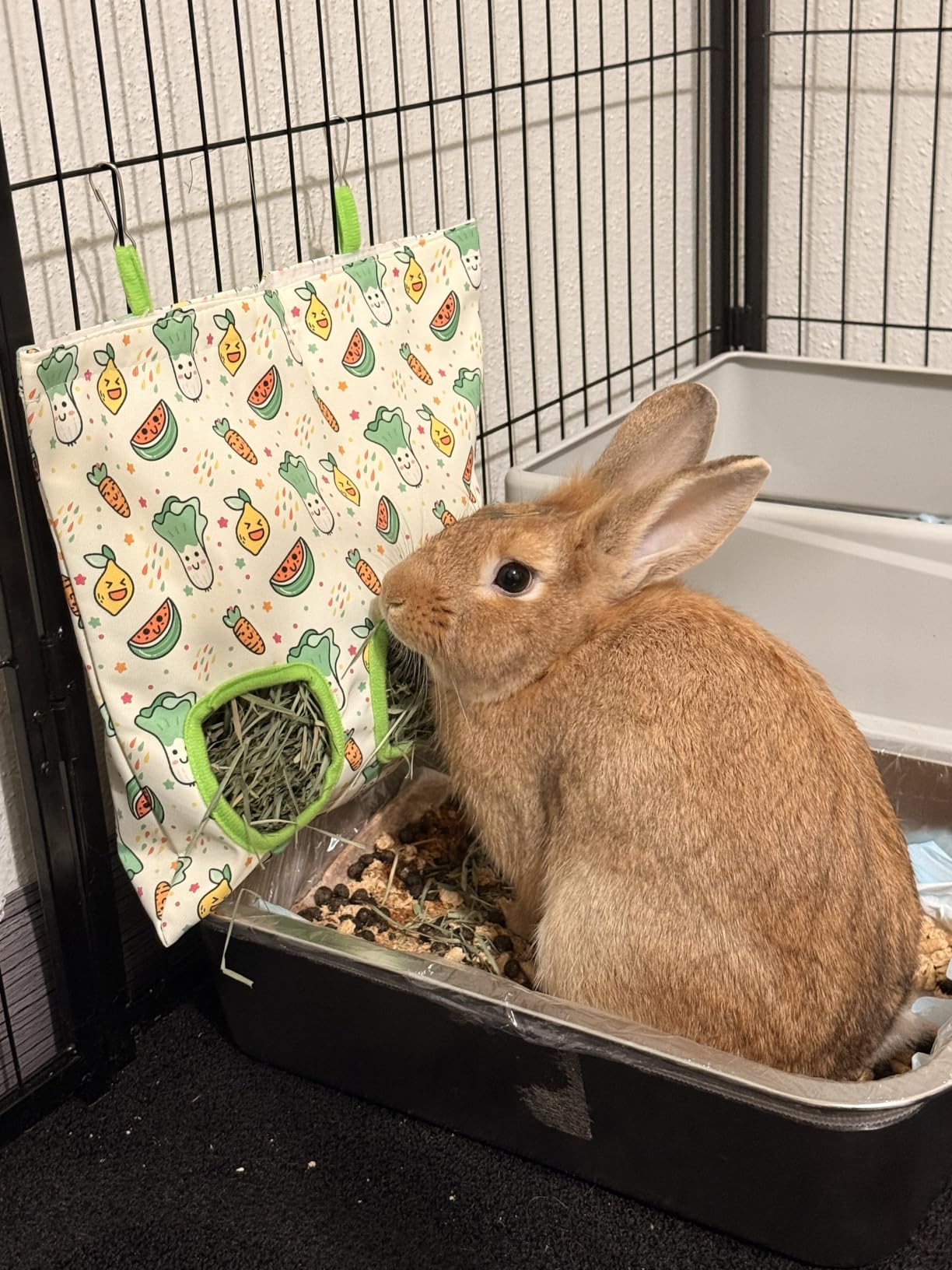 UPINS 2Pack Guinea Pig Hay Feeder Bag, Bunny Rabbit Cage Bag Hanging Holder | Guinea Pig Cage Feeder, for Bunny Rabbits, Chinchillas, Hamsters, Small Pets, and Animals customer photo 1