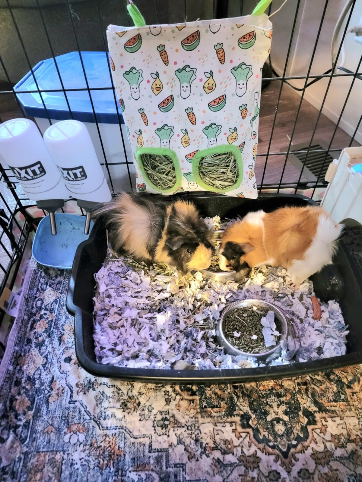 UPINS 2Pack Guinea Pig Hay Feeder Bag, Bunny Rabbit Cage Bag Hanging Holder | Guinea Pig Cage Feeder, for Bunny Rabbits, Chinchillas, Hamsters, Small Pets, and Animals customer photo 2