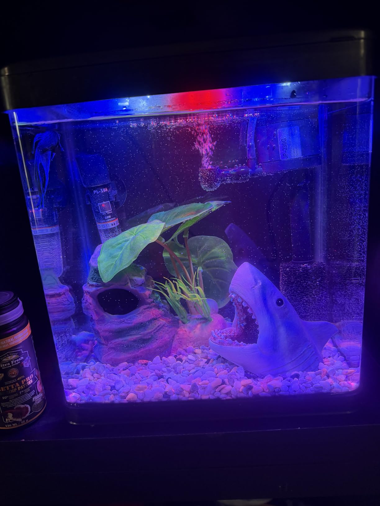 Glass 10 Gallon Fish Tank Aquarium - Smart Self-Cleaning Starter Kit with 3-Color LED Light, Ultra Quiet Pump & Filter, Temperature Monitoring for Betta Fish and Shrimp customer photo 1