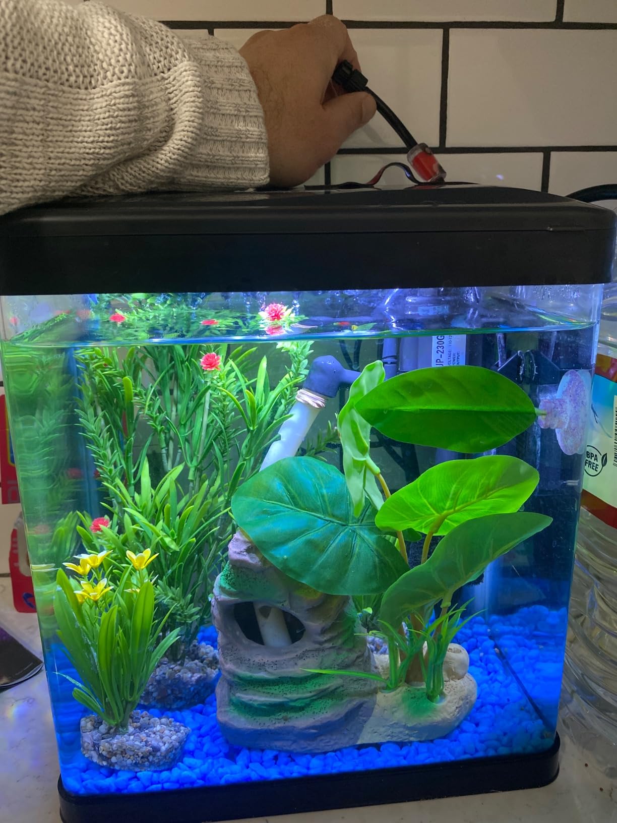 Glass 10 Gallon Fish Tank Aquarium - Smart Self-Cleaning Starter Kit with 3-Color LED Light, Ultra Quiet Pump & Filter, Temperature Monitoring for Betta Fish and Shrimp customer photo 2