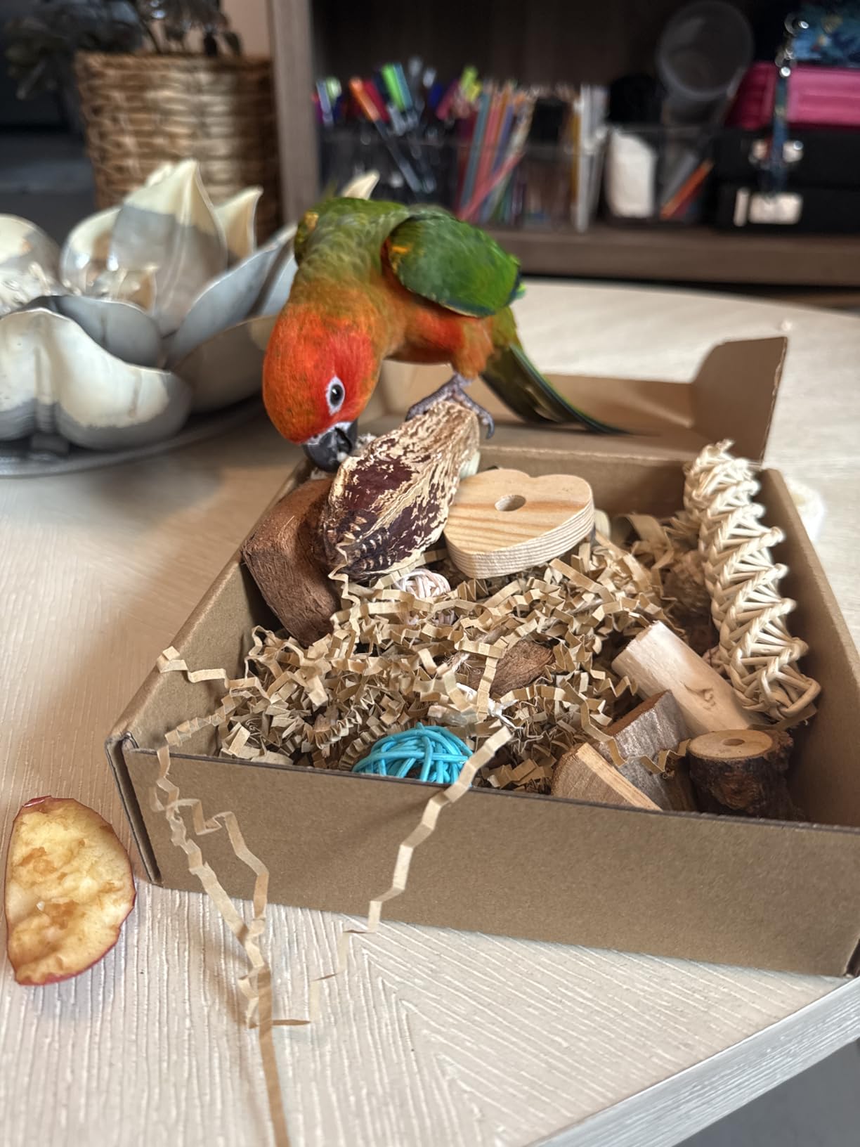 Kyouki Bird Toys Parrot Toys Natural Bird Foraging Box Foot for Parakeets, Cockatiels, Conures, Love Birds, and Other Small to Medium Birds (Medium) customer photo 2