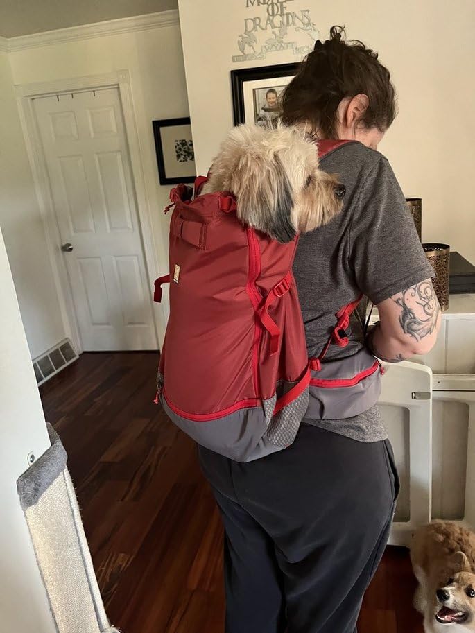 Ruffwear, Hitch Hiker Dog Backpack Carrier, River Rock Green, Small customer photo 1