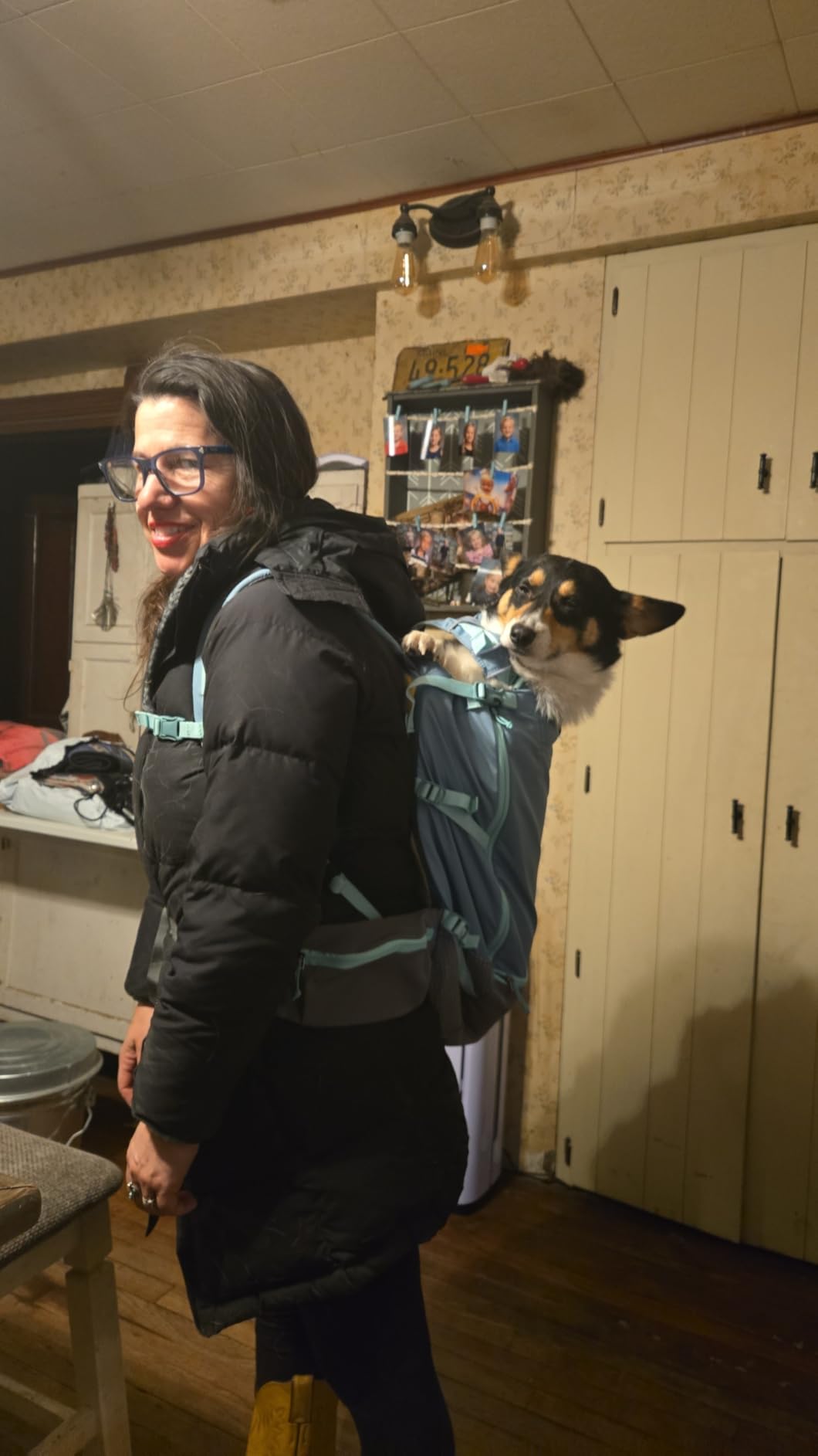 Ruffwear, Hitch Hiker Dog Backpack Carrier, River Rock Green, Small customer photo 2