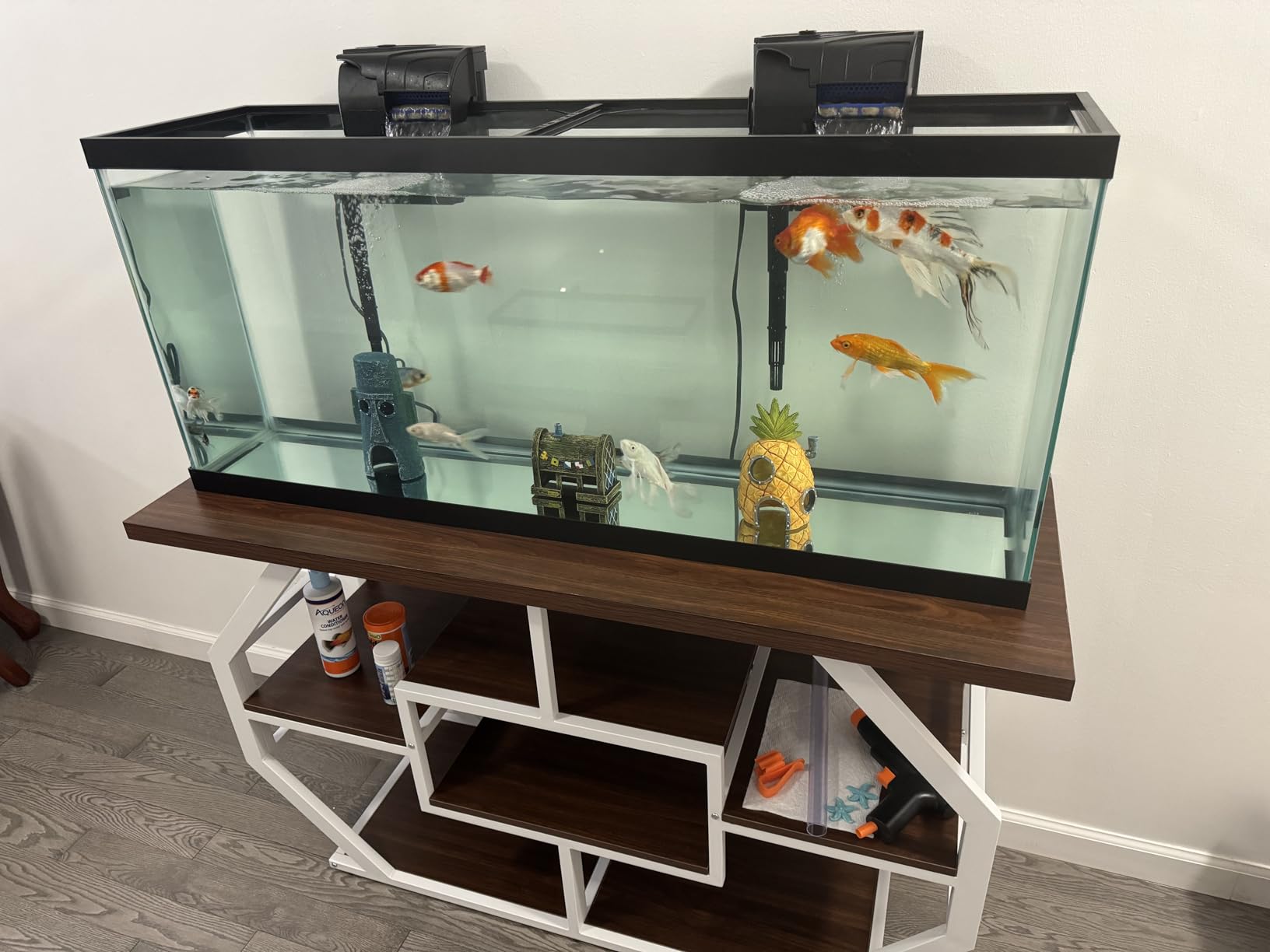 DWVO 55-75 Gallon Aquarium Stand with Power Outlet, Black & Gold | Display Stand for Turtle Tank, Reptile Terrarium, Metal Fish Tank Stand Suitable for Living Room, Entryway, 860LBS Capacity customer photo 1