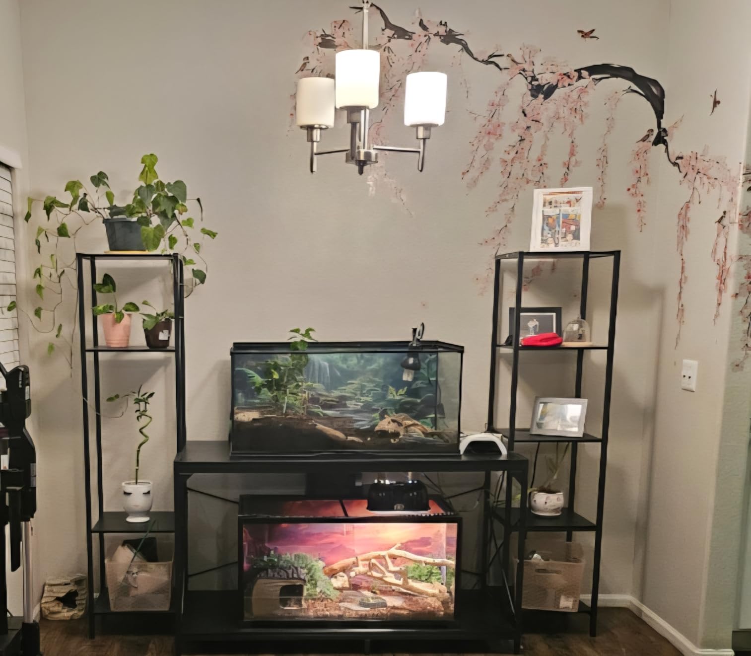 DWVO 55-75 Gallon Aquarium Stand with Power Outlet, Black & Gold | Display Stand for Turtle Tank, Reptile Terrarium, Metal Fish Tank Stand Suitable for Living Room, Entryway, 860LBS Capacity customer photo 2